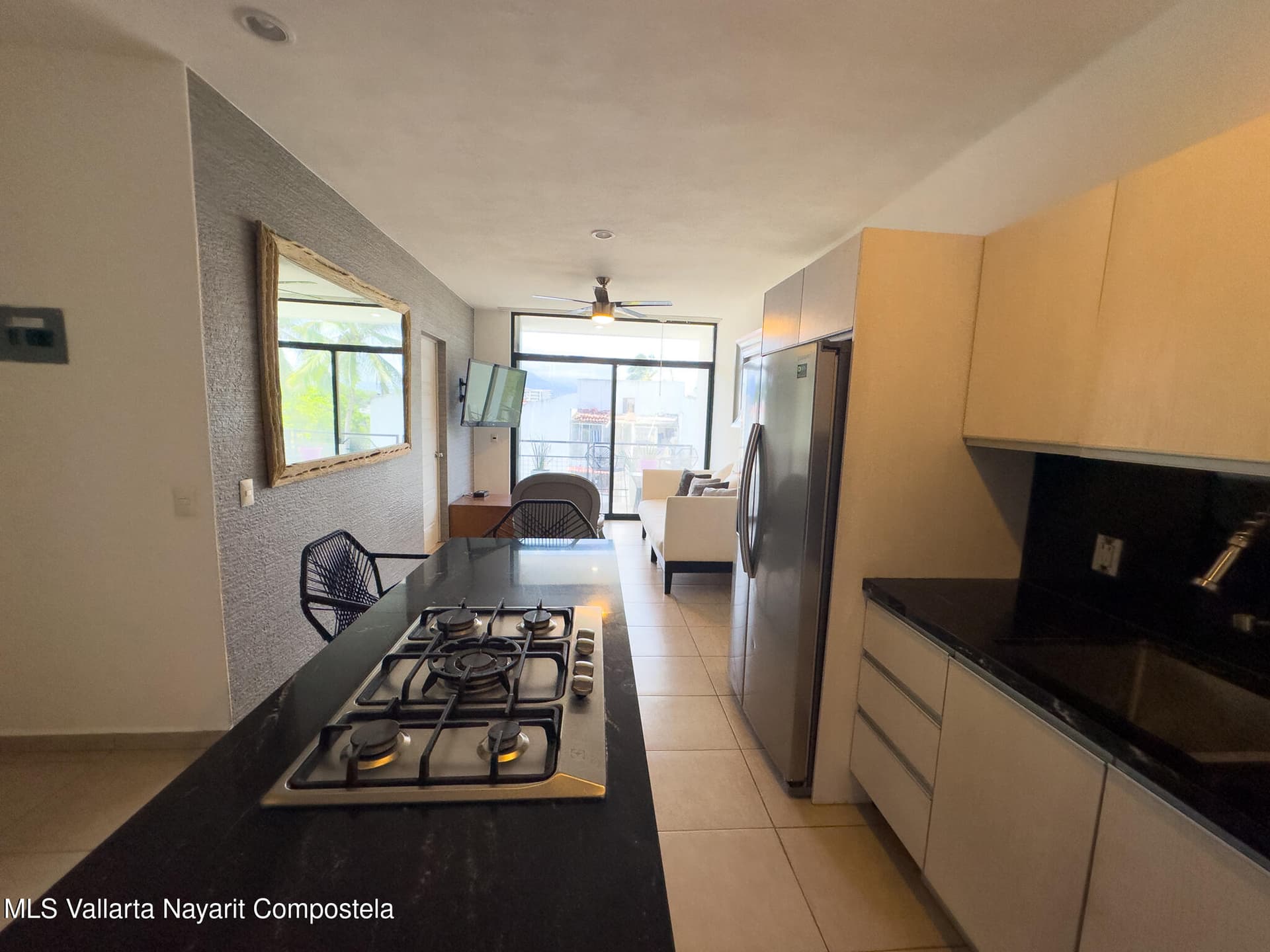 447 Avenida Mezquite 4