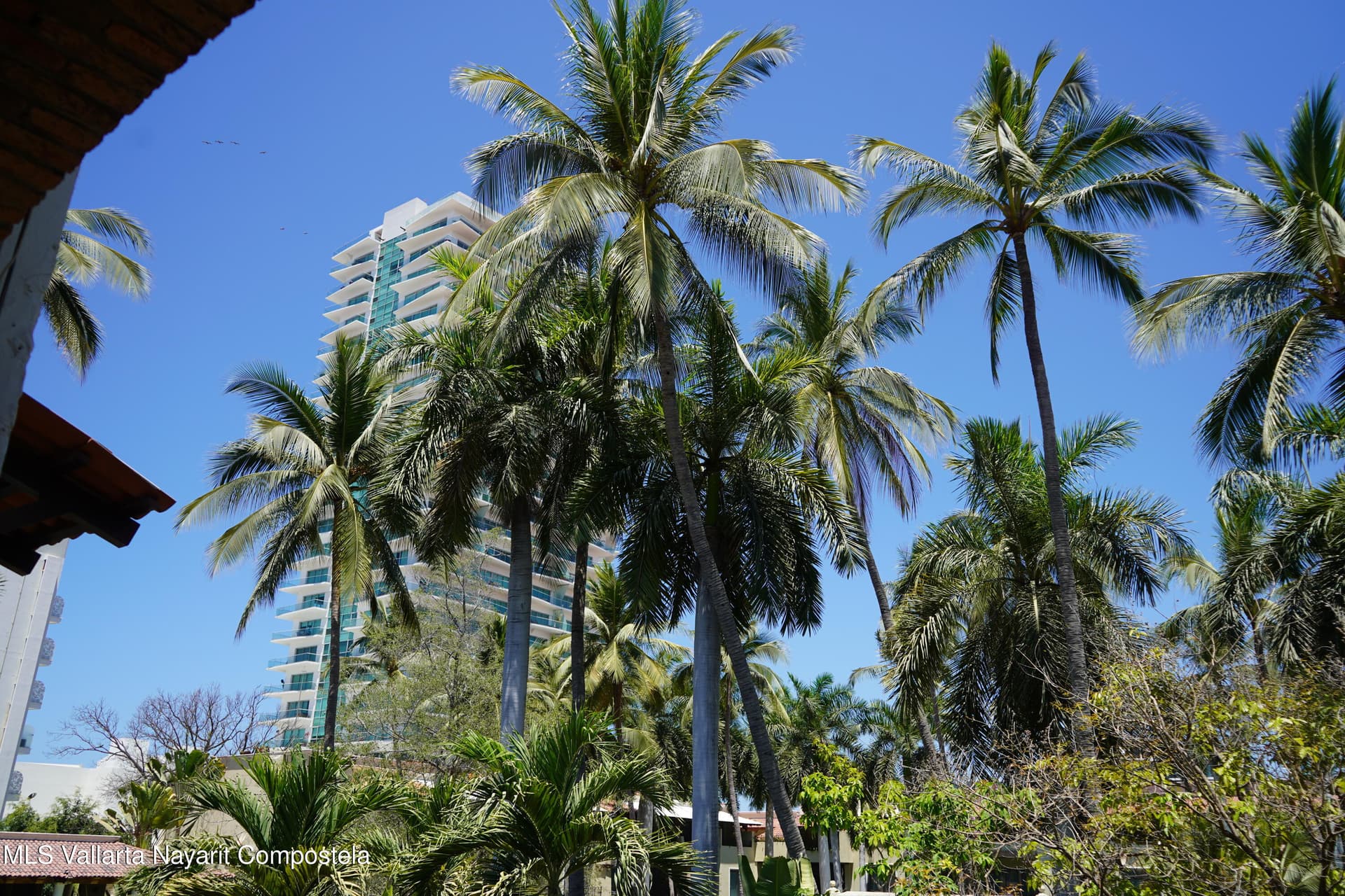 Krystal Vallarta 22