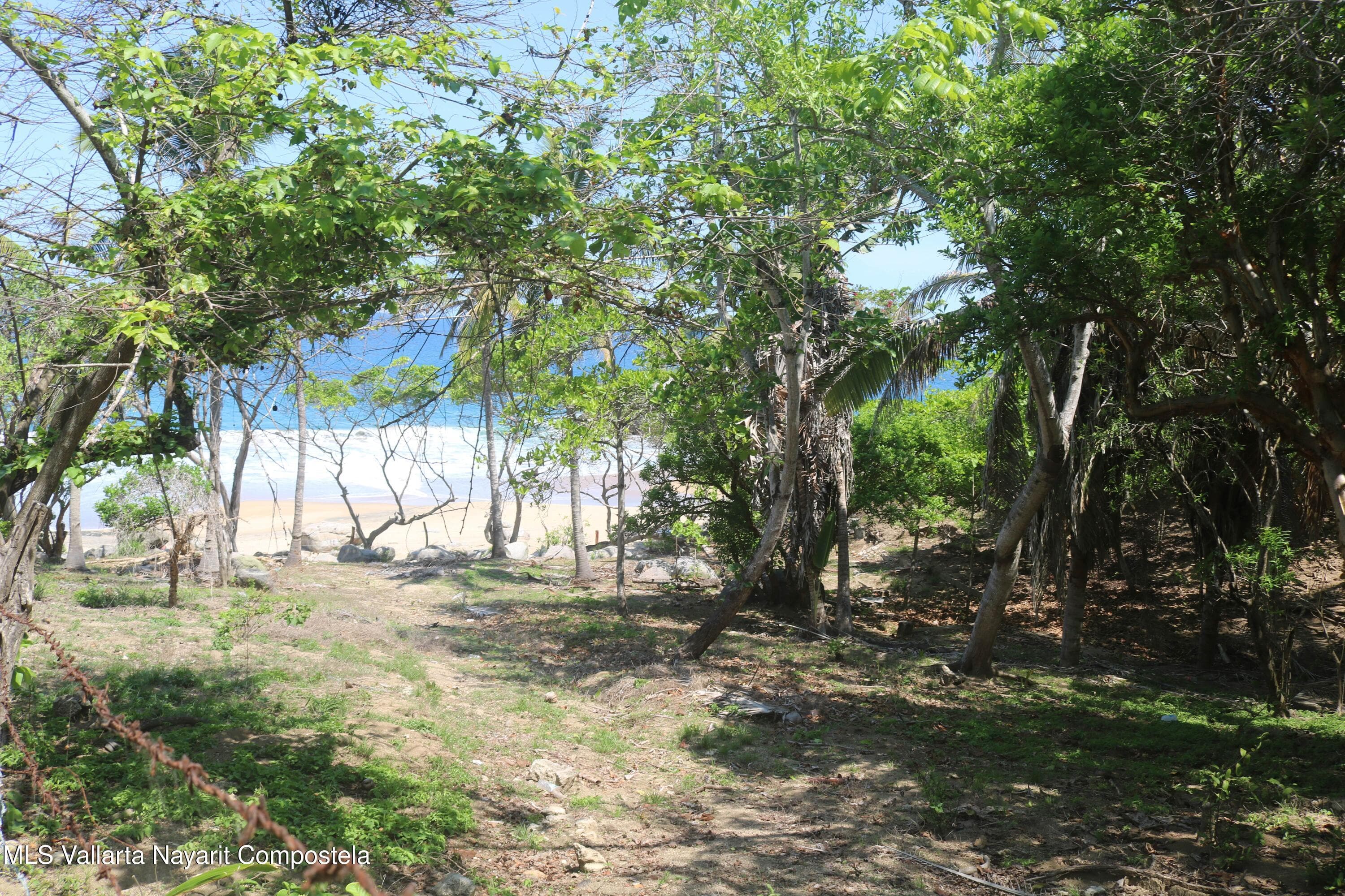649 y 1302 Camino Playa Carricitos 11