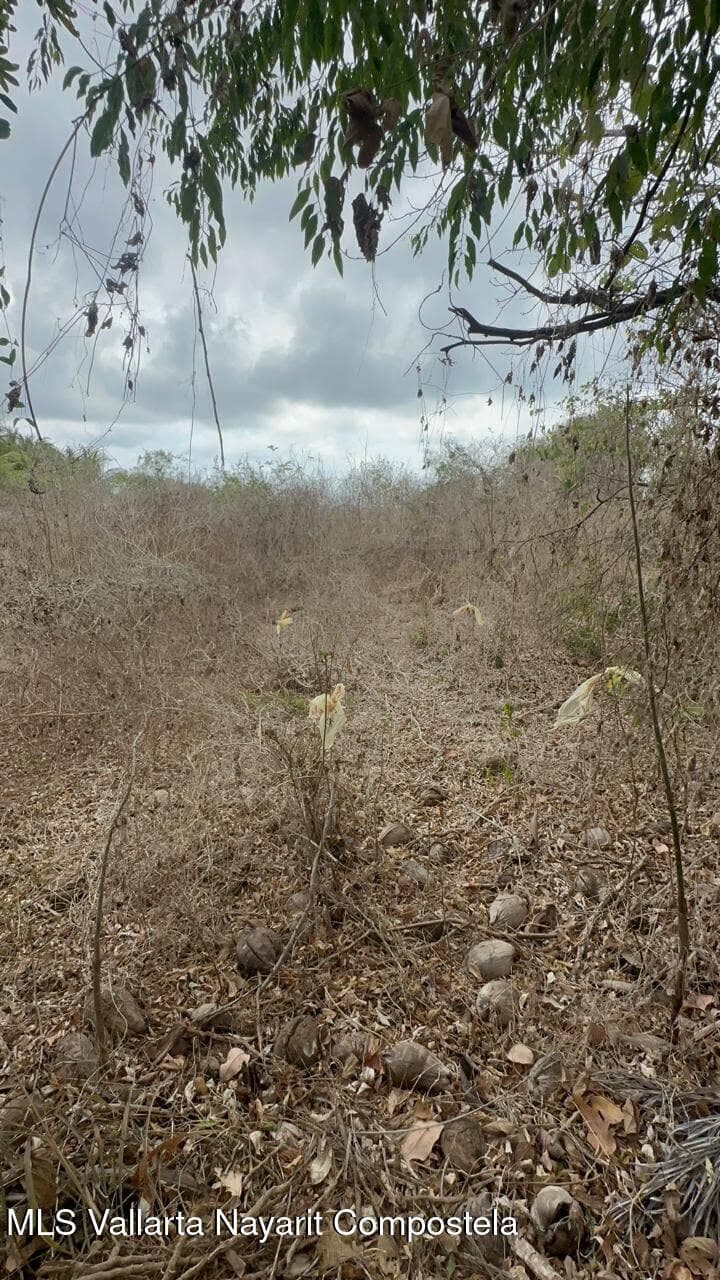 Land 9