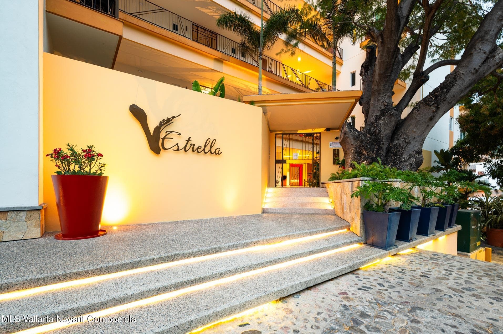 V Estrella