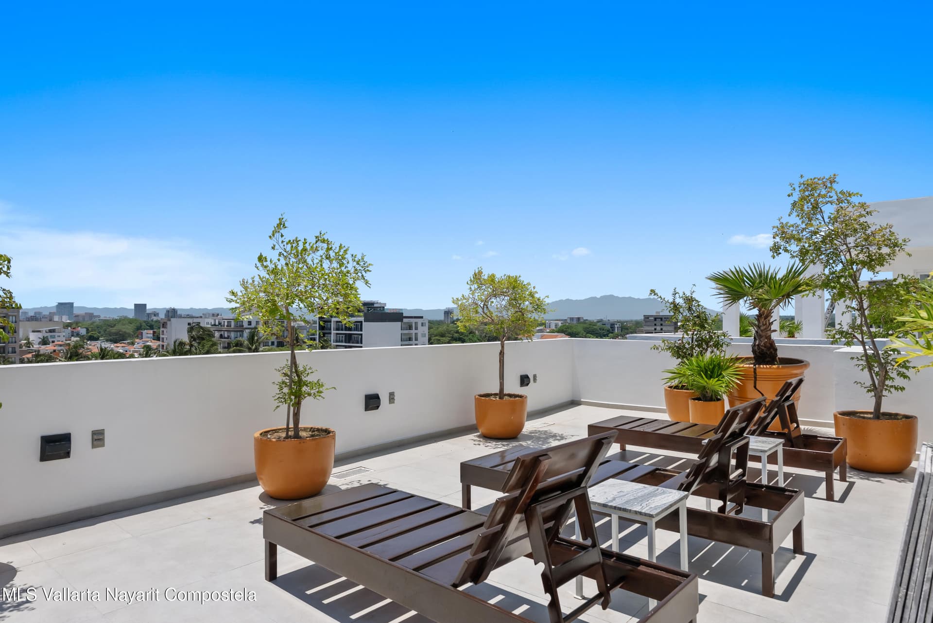 319 Palm Springs 23