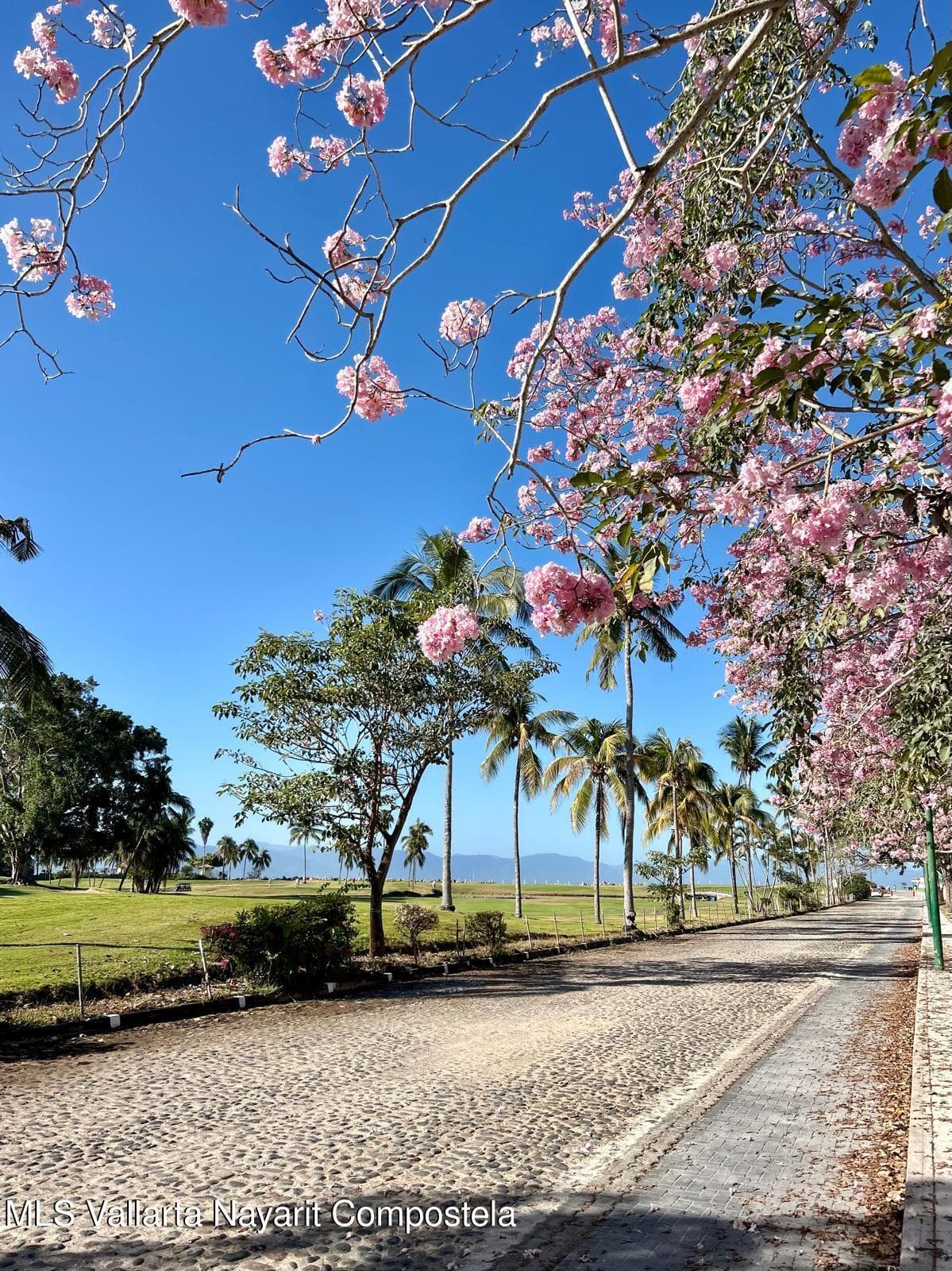 333 Paseo Bocanegra 2