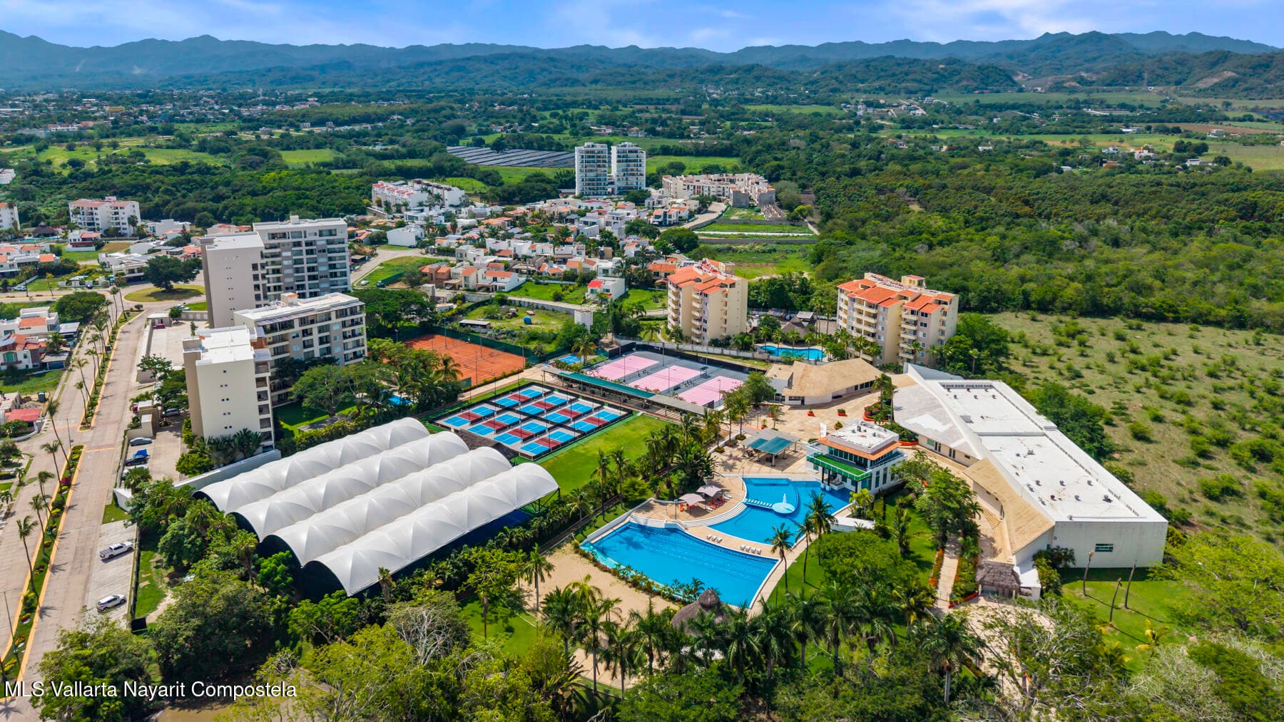 127 MANGO PARAISO 34