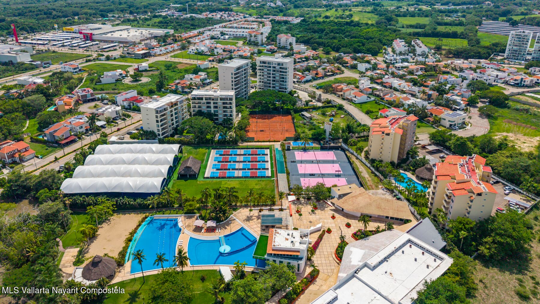 127 MANGO PARAISO 36