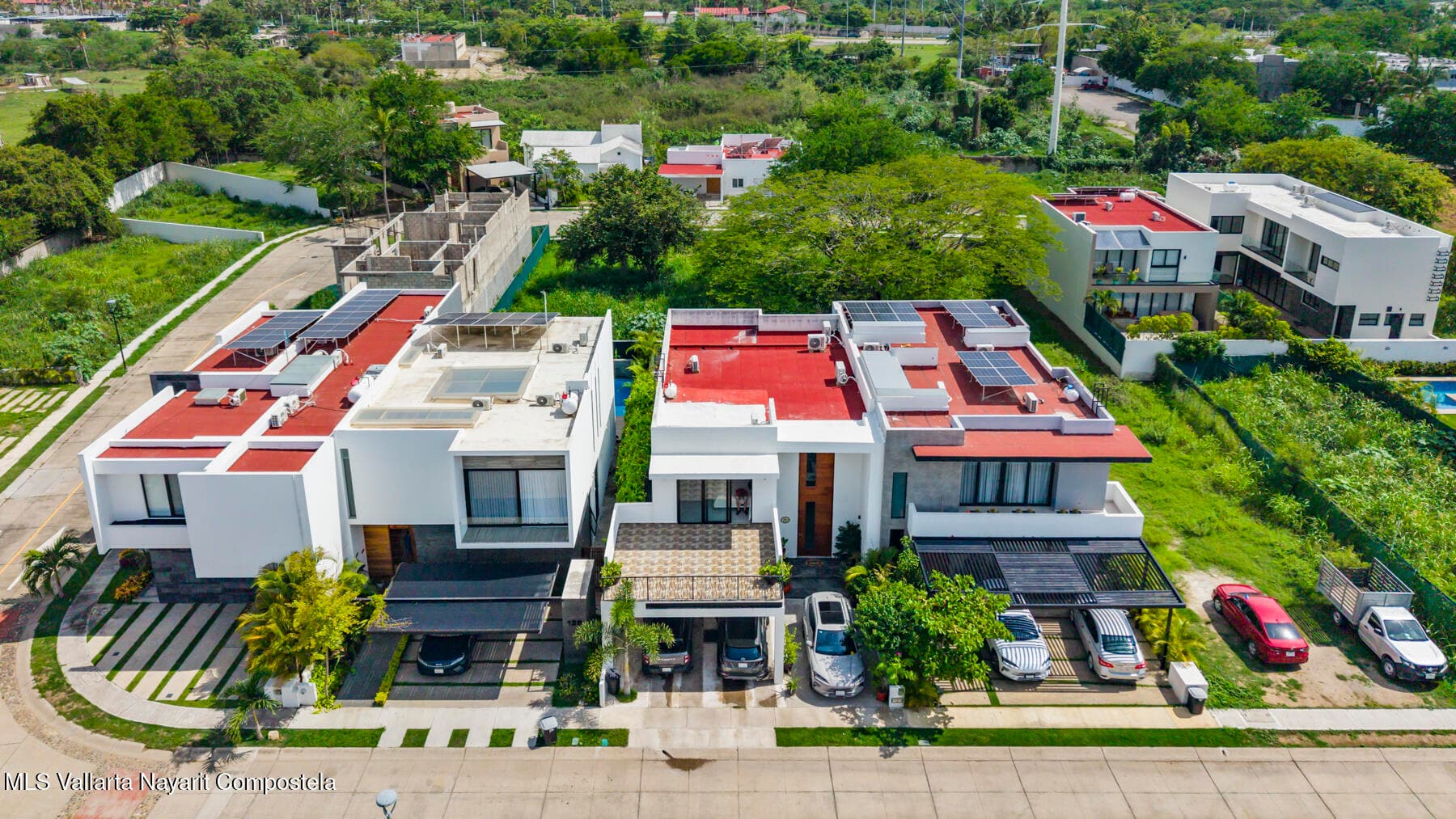 127 MANGO PARAISO 35