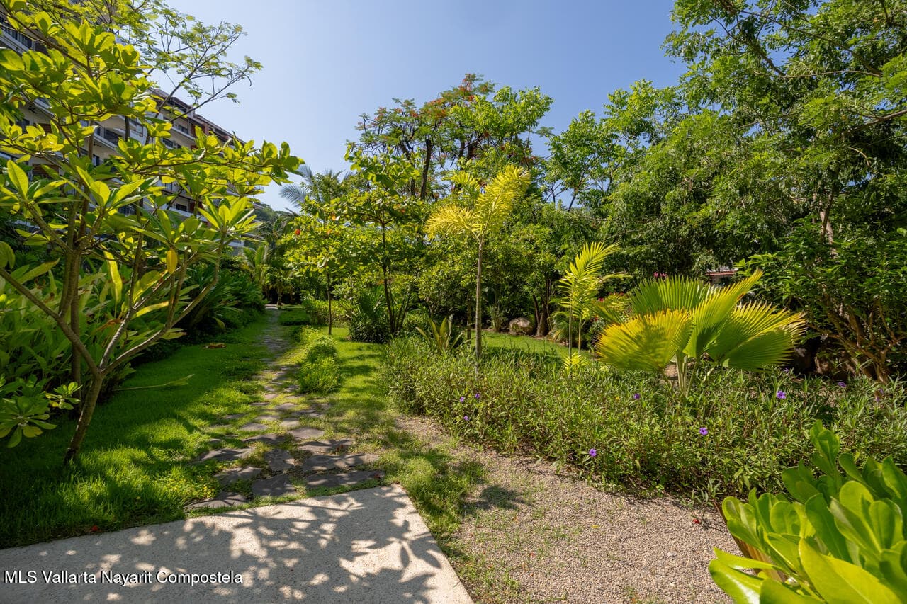 Oasis at Riviera Cuale 19