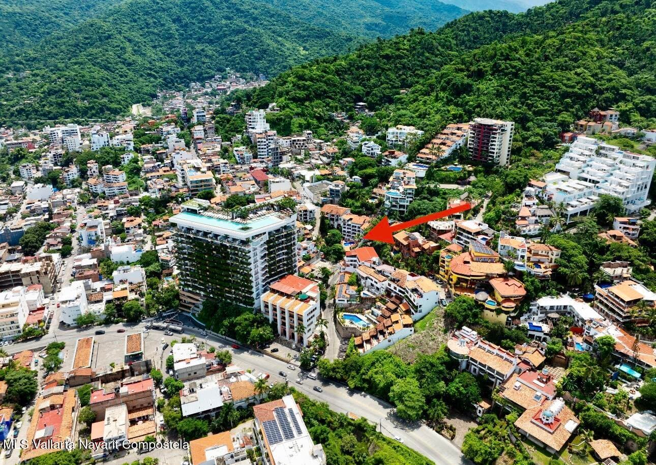 363 pulpito 24