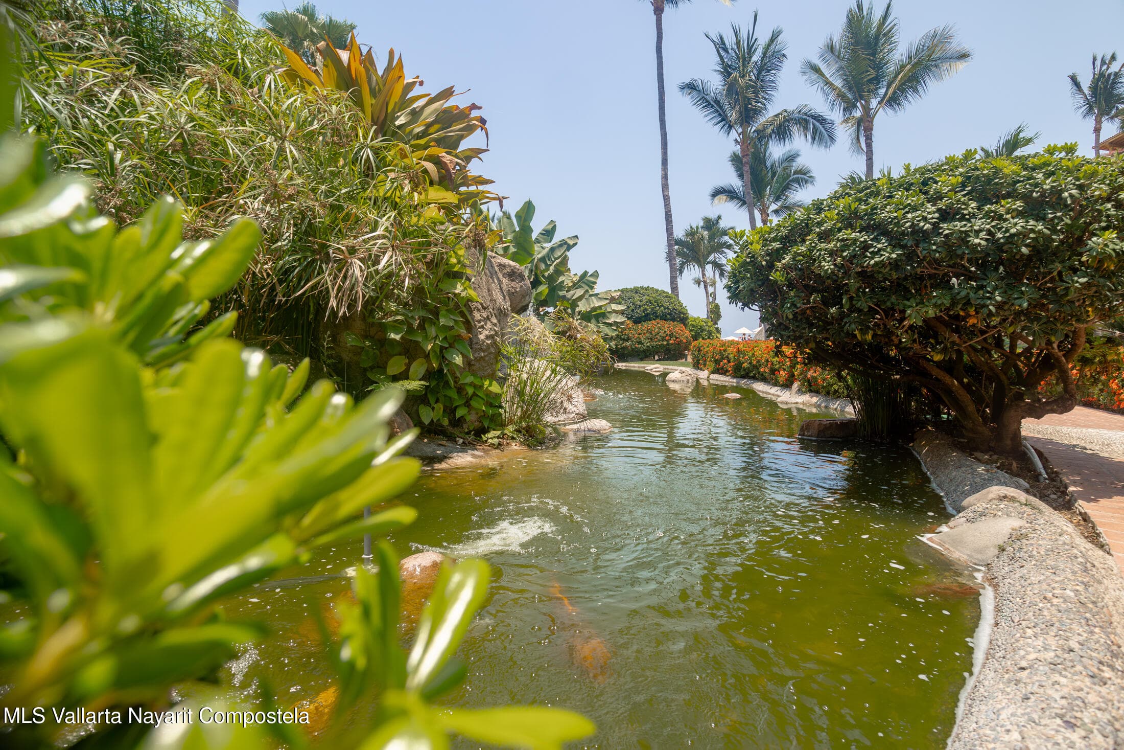Velas Vallarta 4