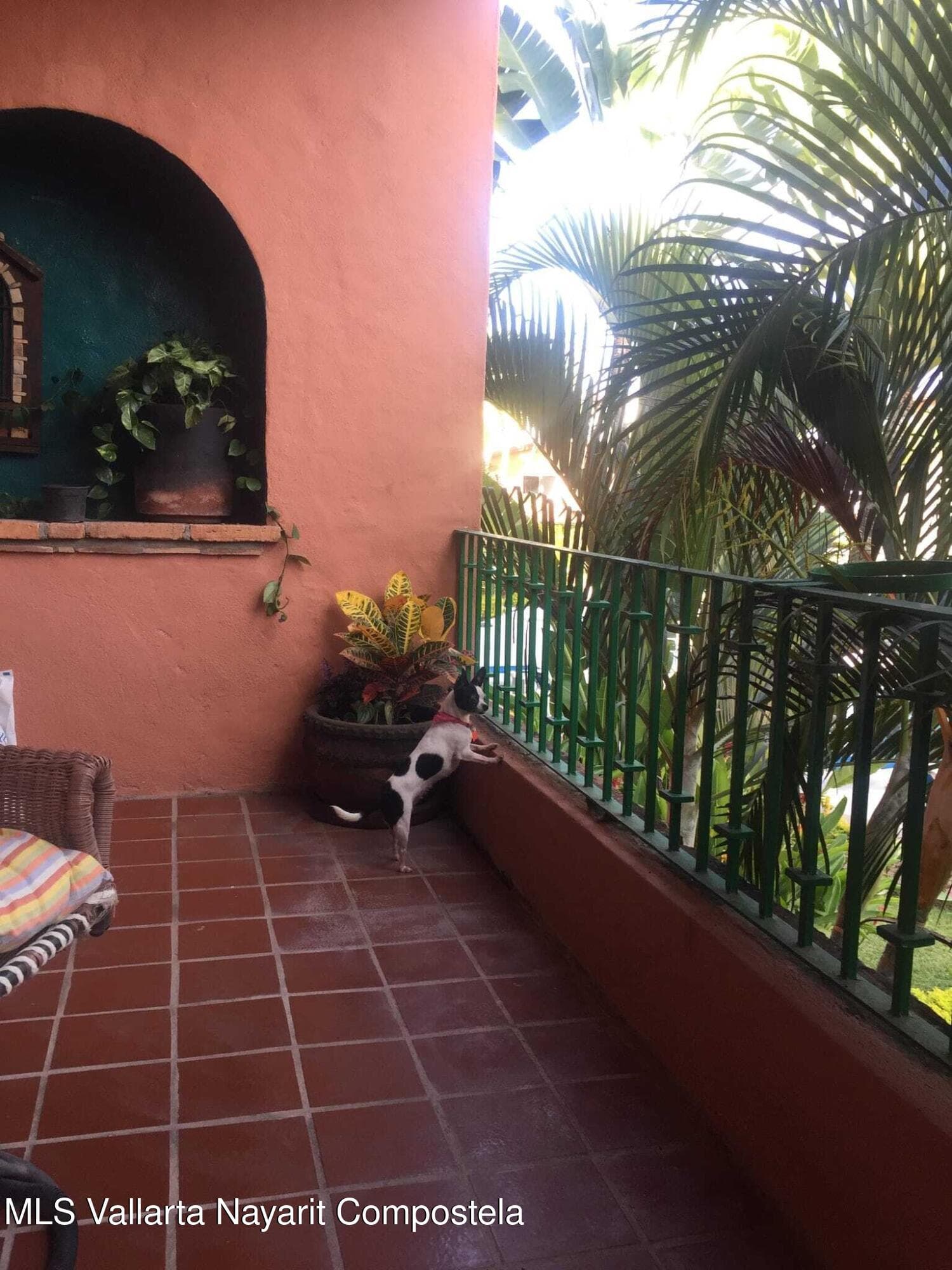 Puesta Del Sol - Marina 8