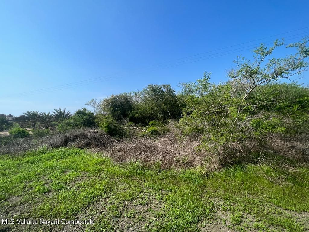 Lote 66 Francisco I Madero 3