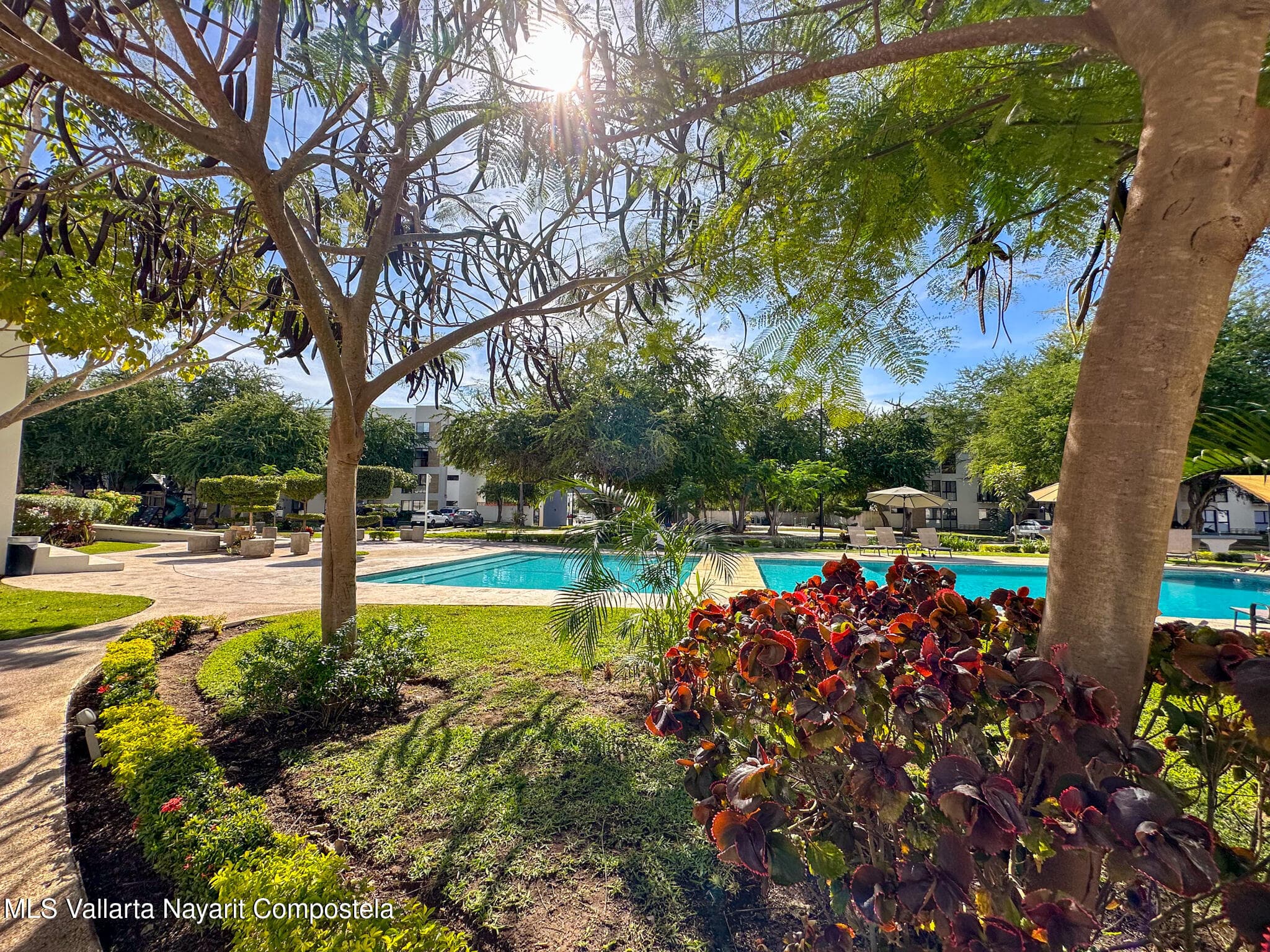313 Paseo Foresta 33