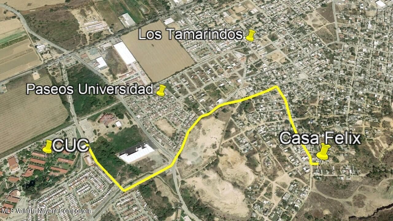 491 Estano 19
