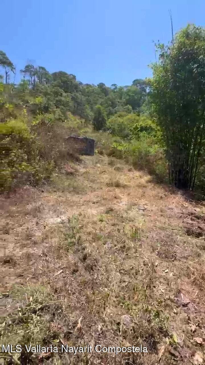 3 Sendero Nogalito 2