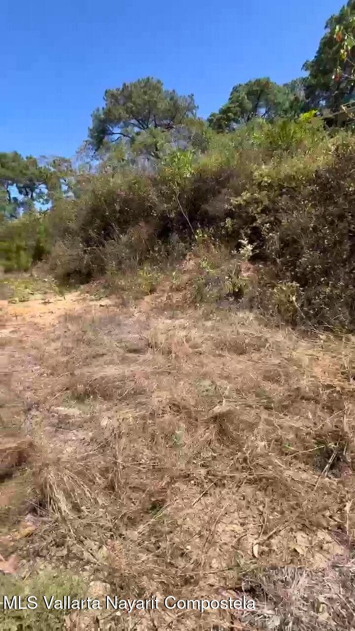 3 Sendero Nogalito 3
