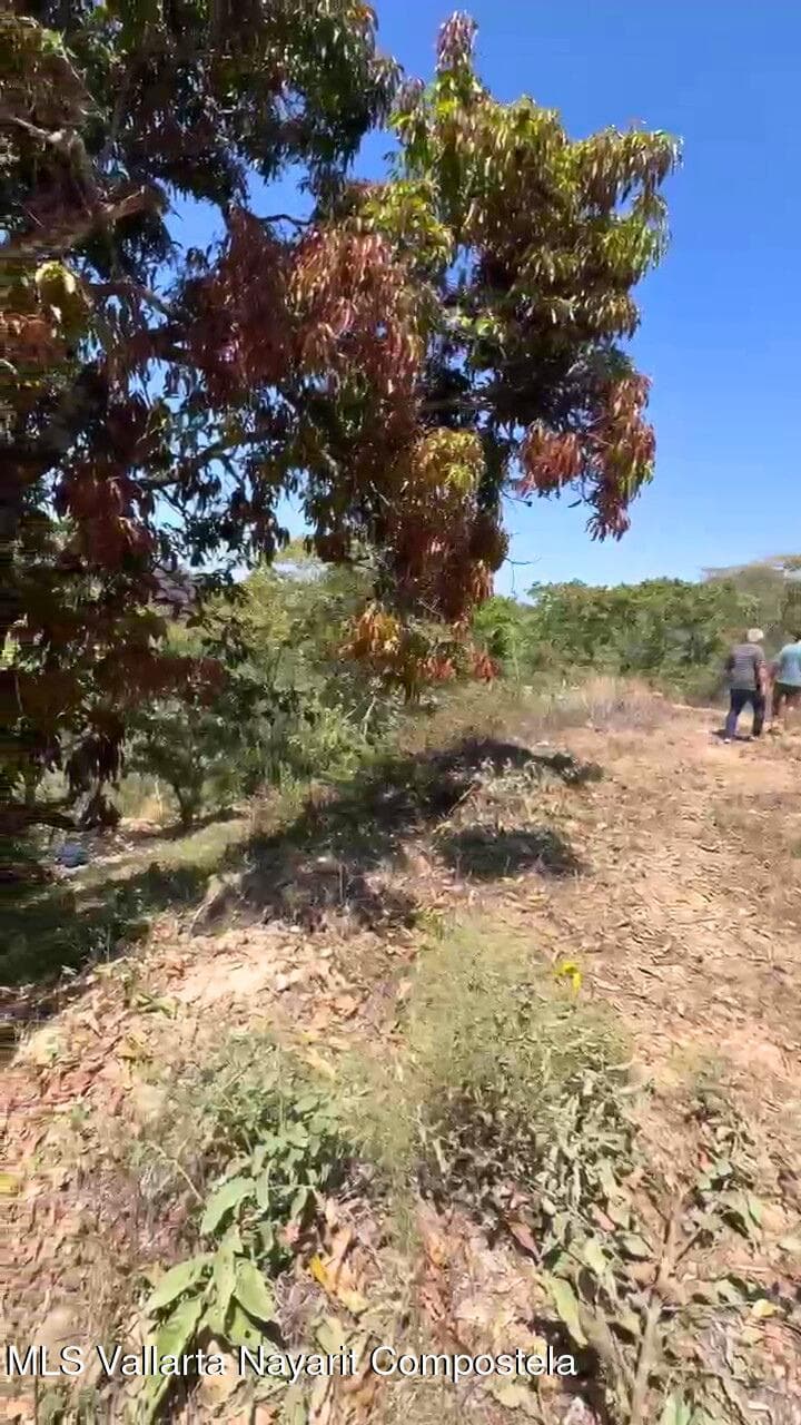 3 Sendero Nogalito 4
