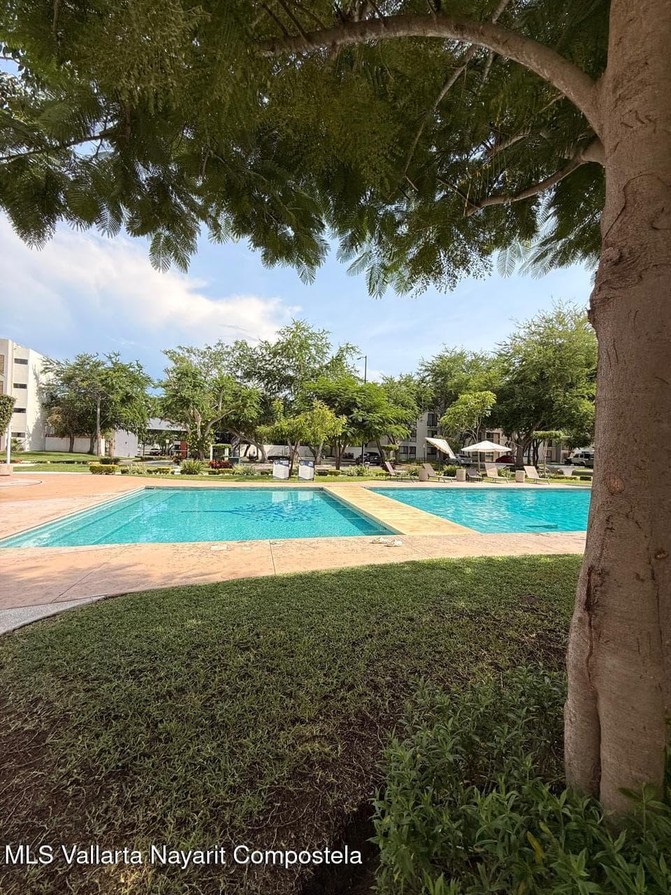 201 Paseo Foresta TORRE A 14