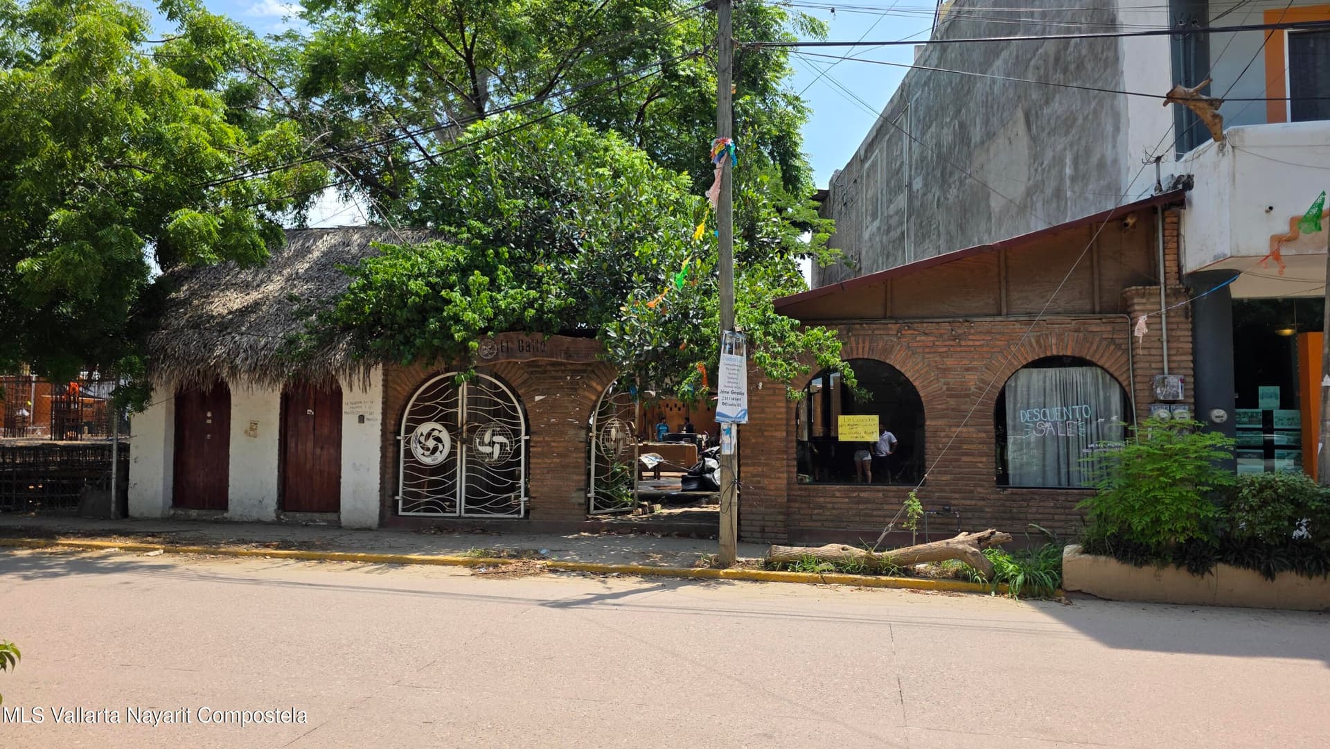 38 Av. Del Tercer Mundo 5
