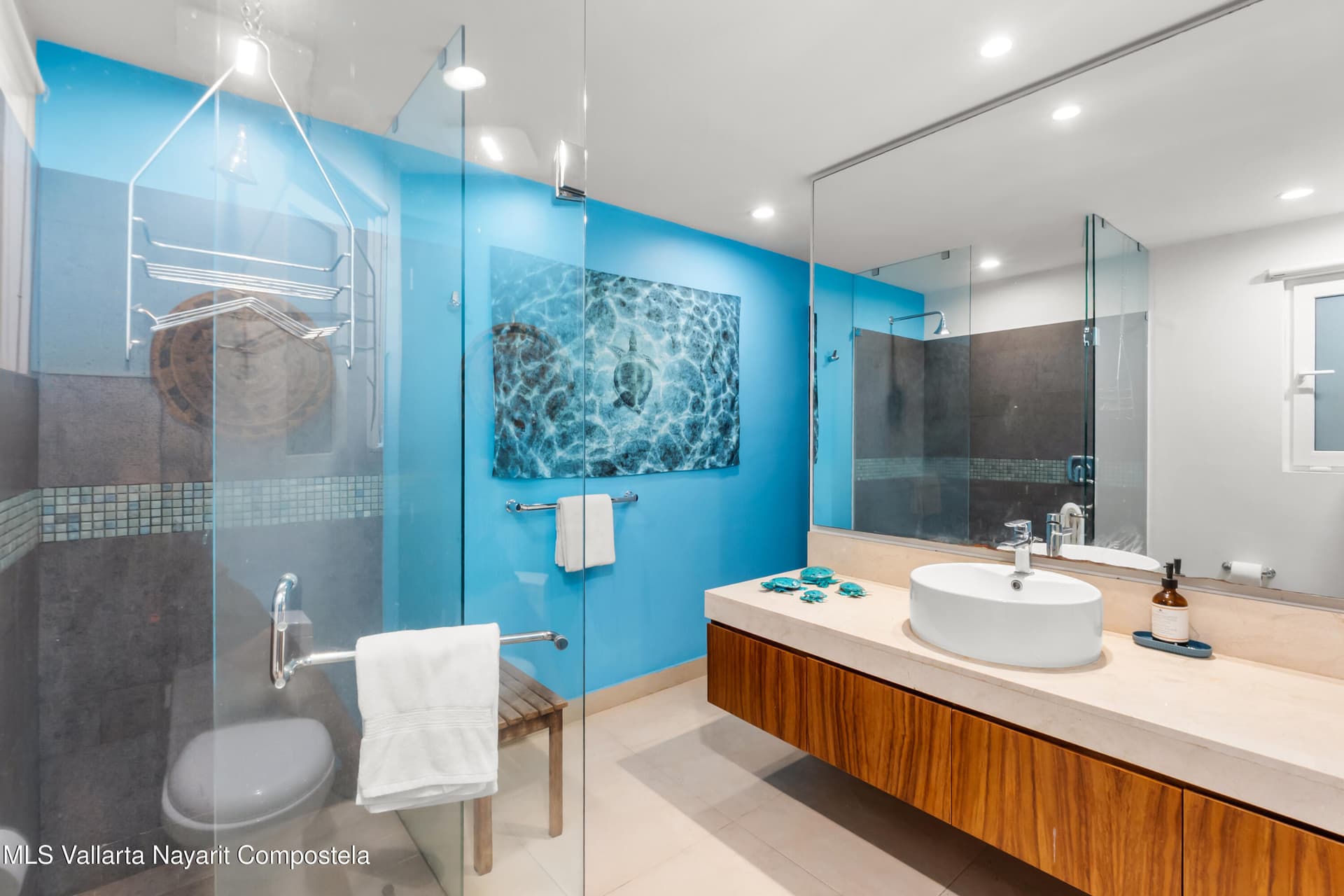 205 Lazaro Cardenas 21