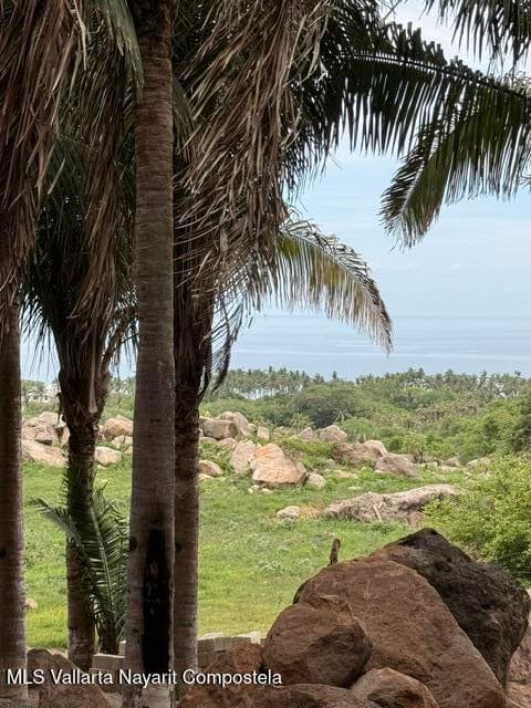 P 1393 Z10 P1 F2/F5 EJIDO SAYULITA 5
