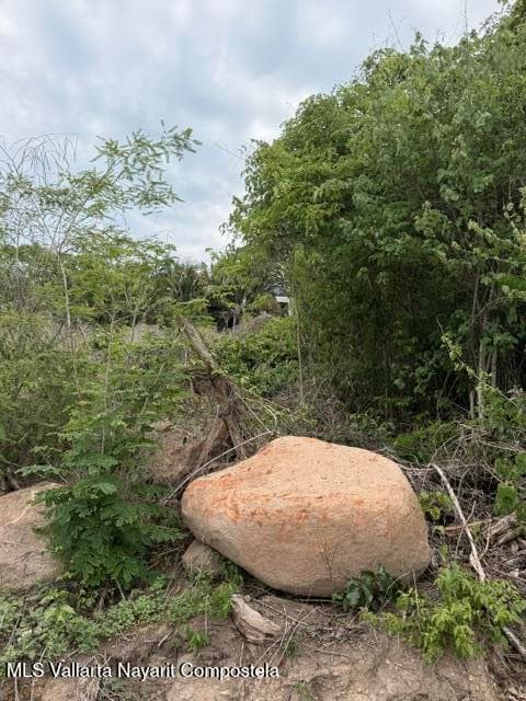 P 1393 Z10 P1 F2/F5 EJIDO SAYULITA 6