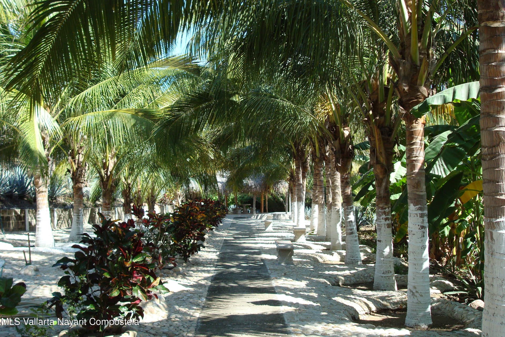S/N Carretera Vieja Punta de Mita 13