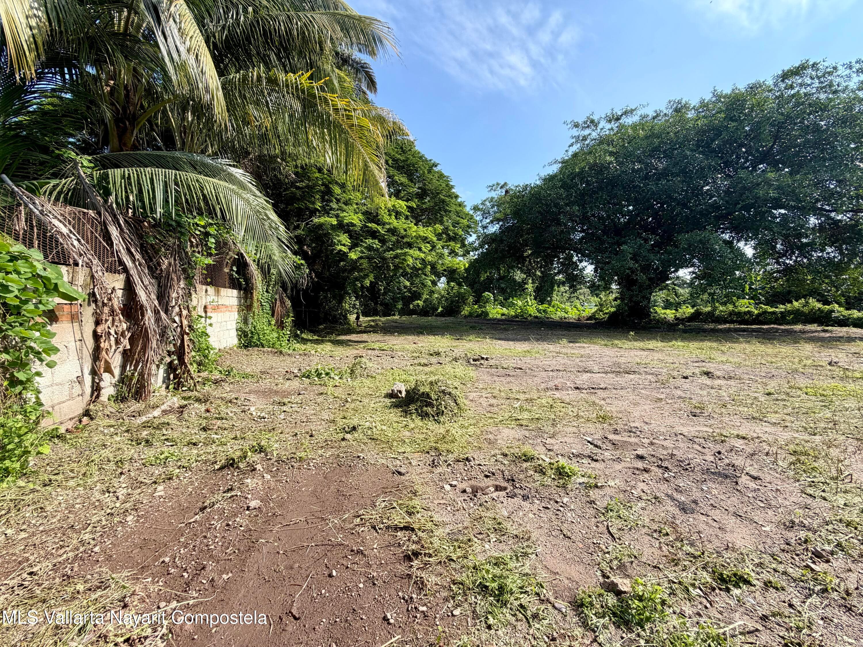 Lote 16 Higuera 9