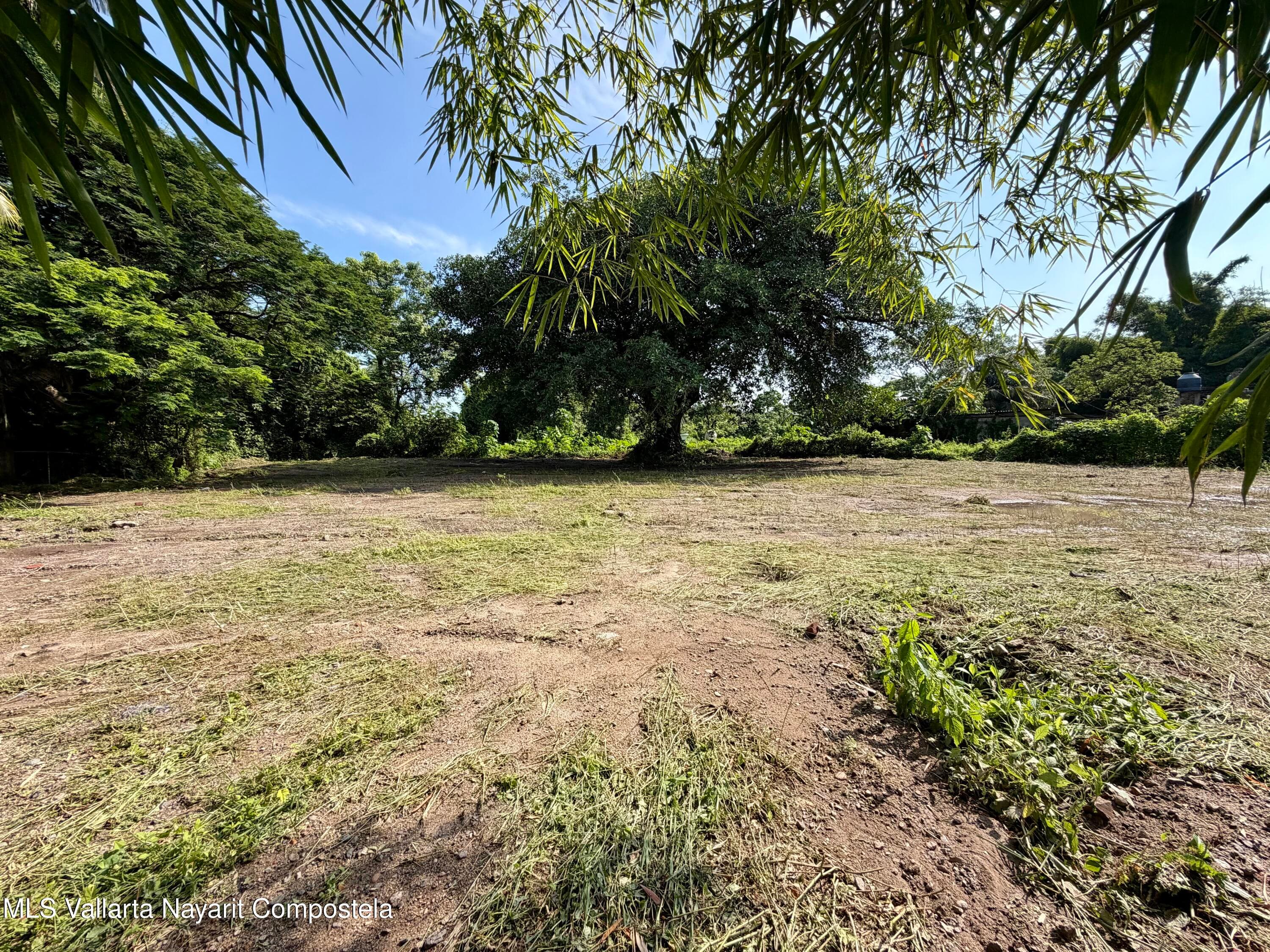 Lote 16 Higuera 10