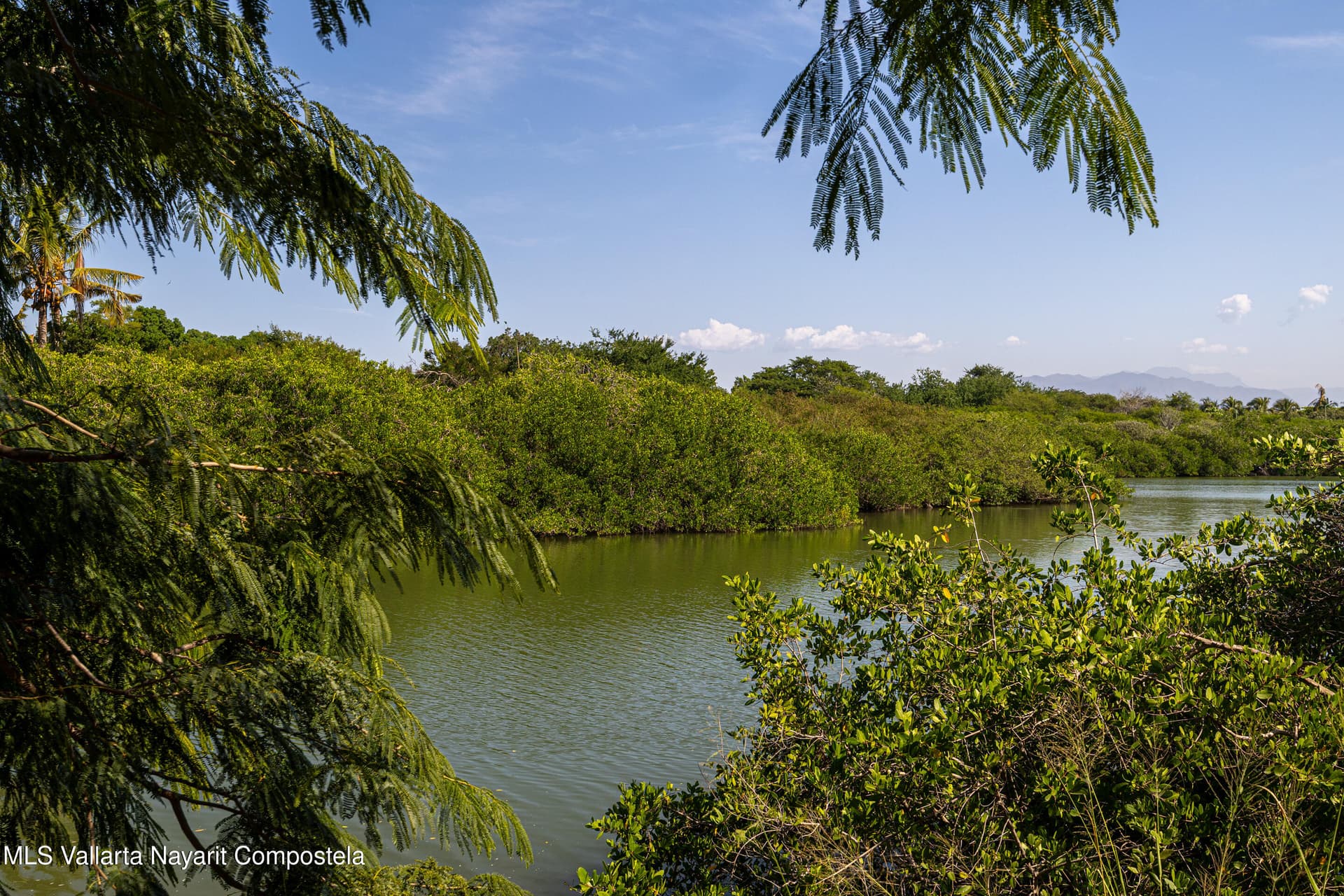37 Paseo de los Cocoteros 2