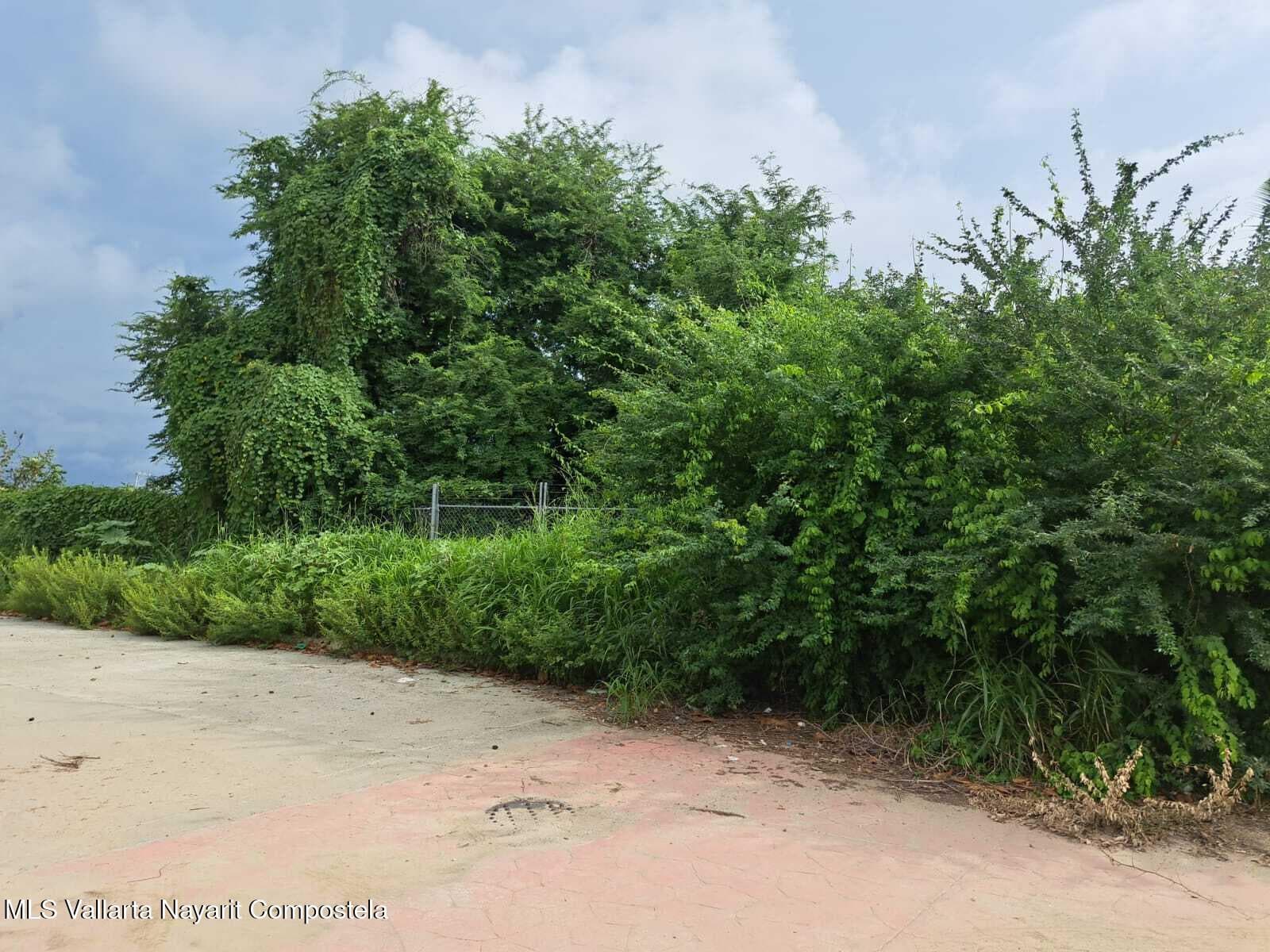 200 CARRETERA FEDERAL 200 11