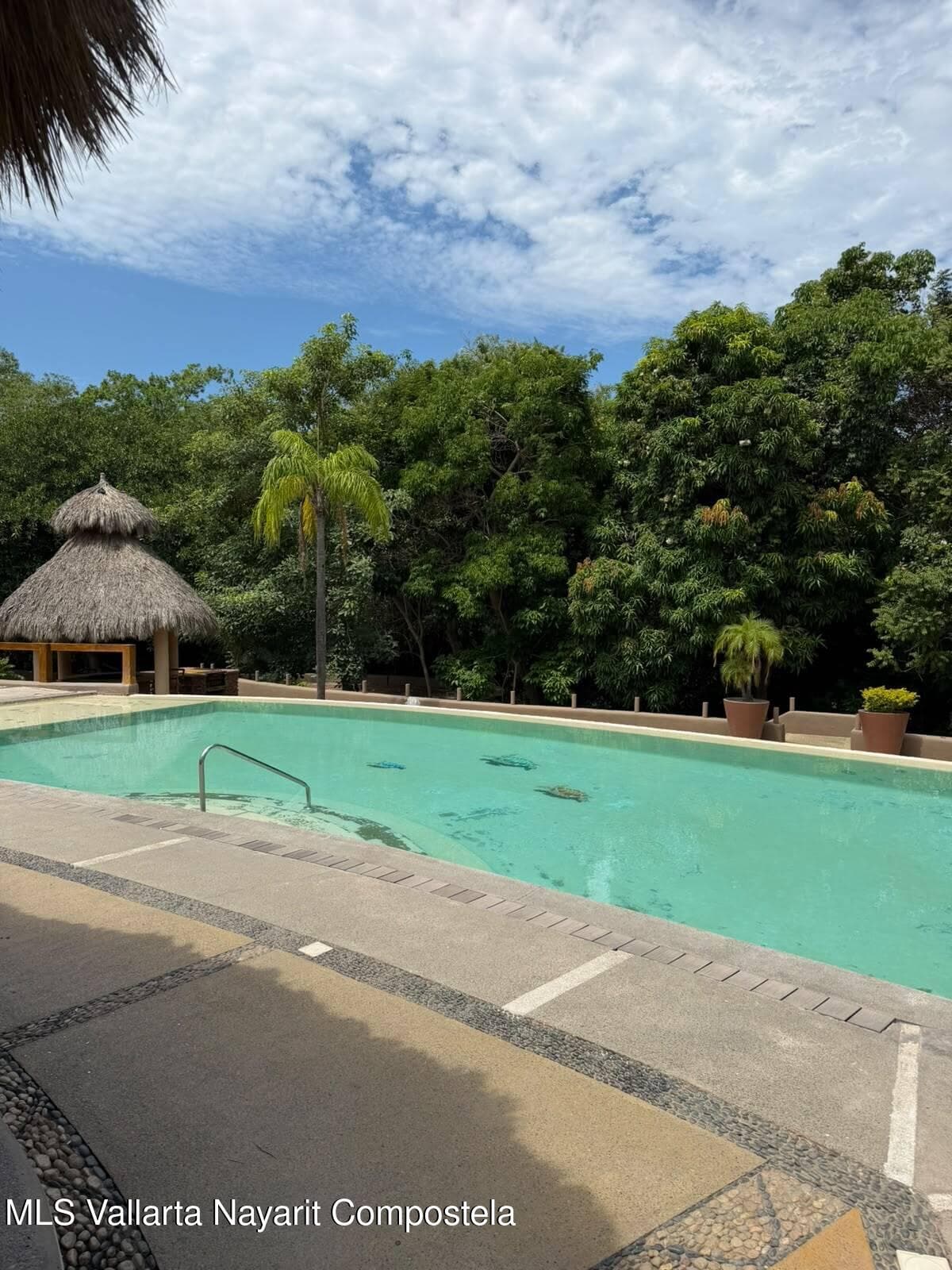 78 REFUGIO DEL COCODRILO 23