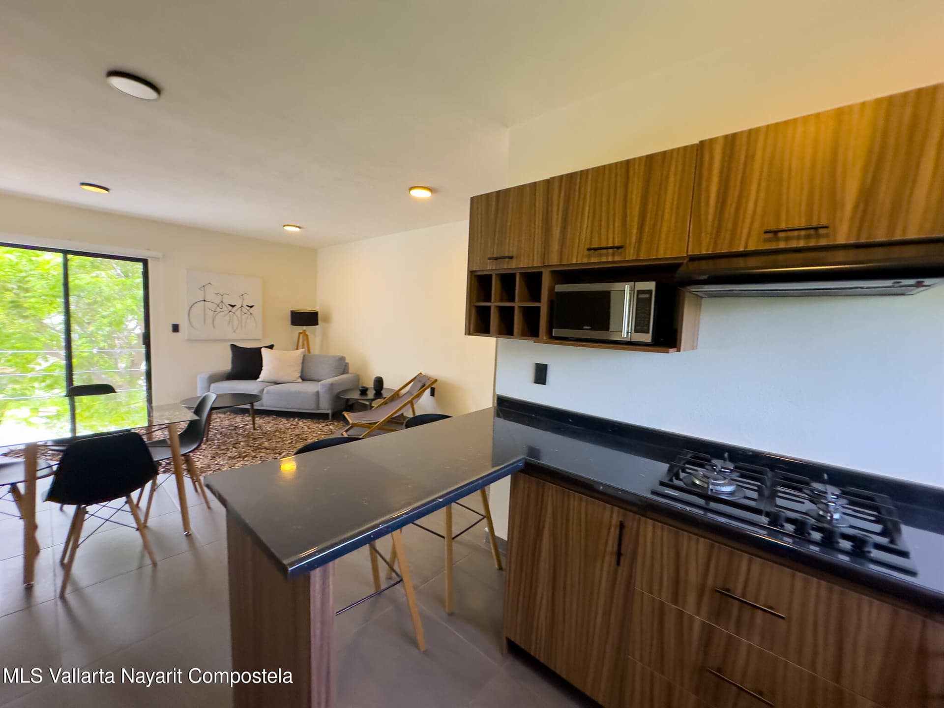 317 Paseo Foresta 3