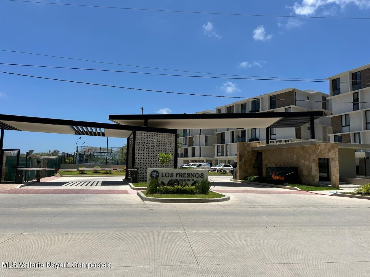 13 Parota