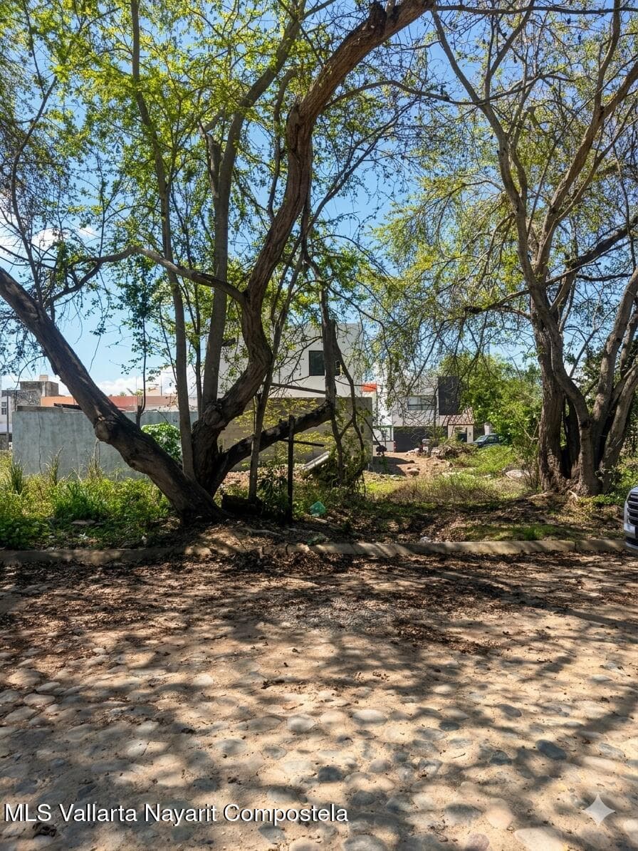 114 TABAQUILLO