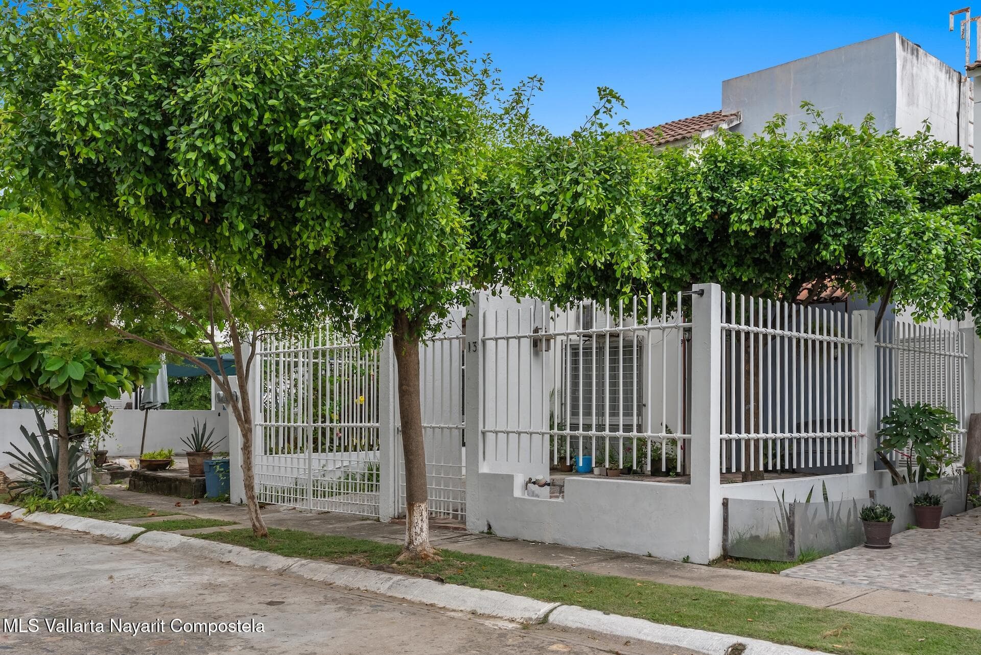 113 Estero Corerepe 2