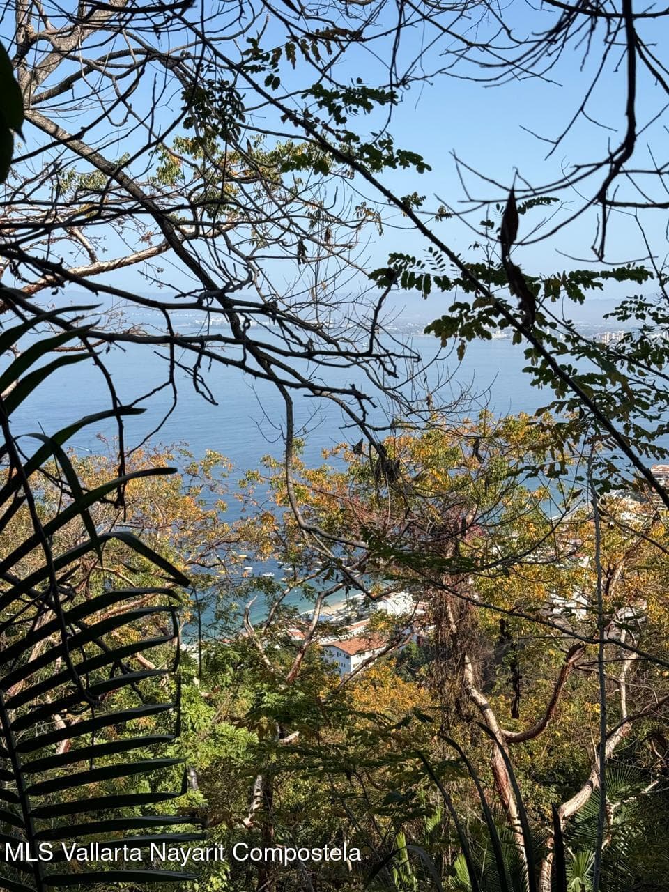 SN Paseo de Los Pinos Verdes 6