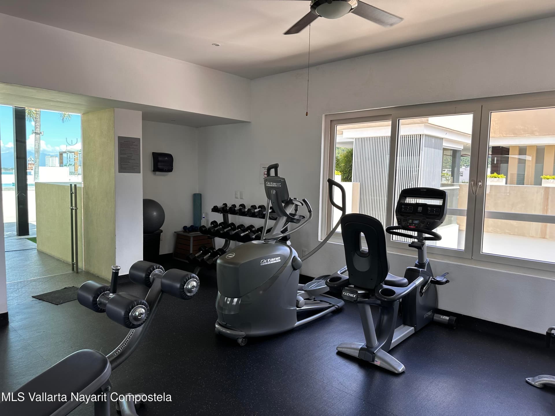 Zenith 29