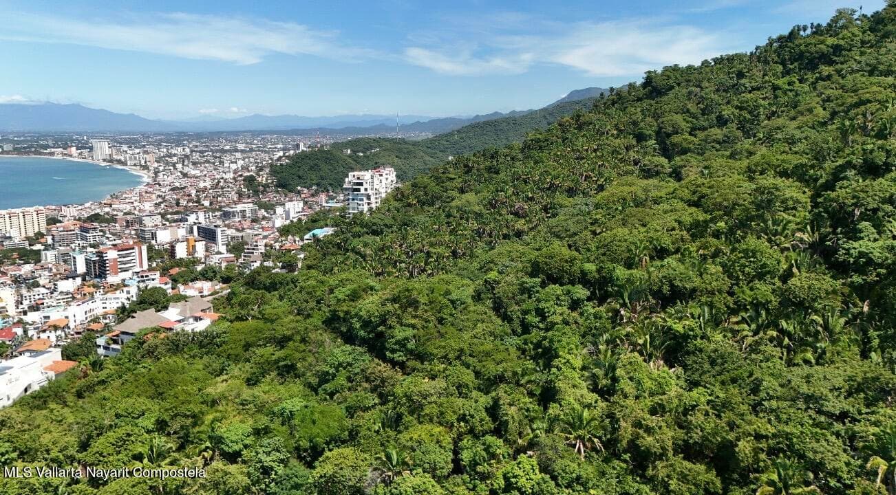 SN Paseo de Los Pinos Verdes 4