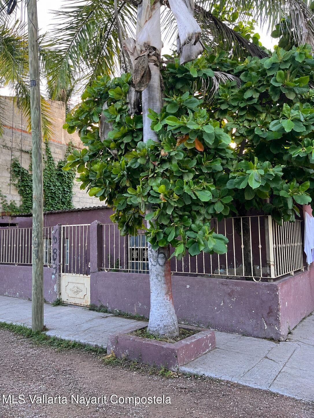 235 Espana 2