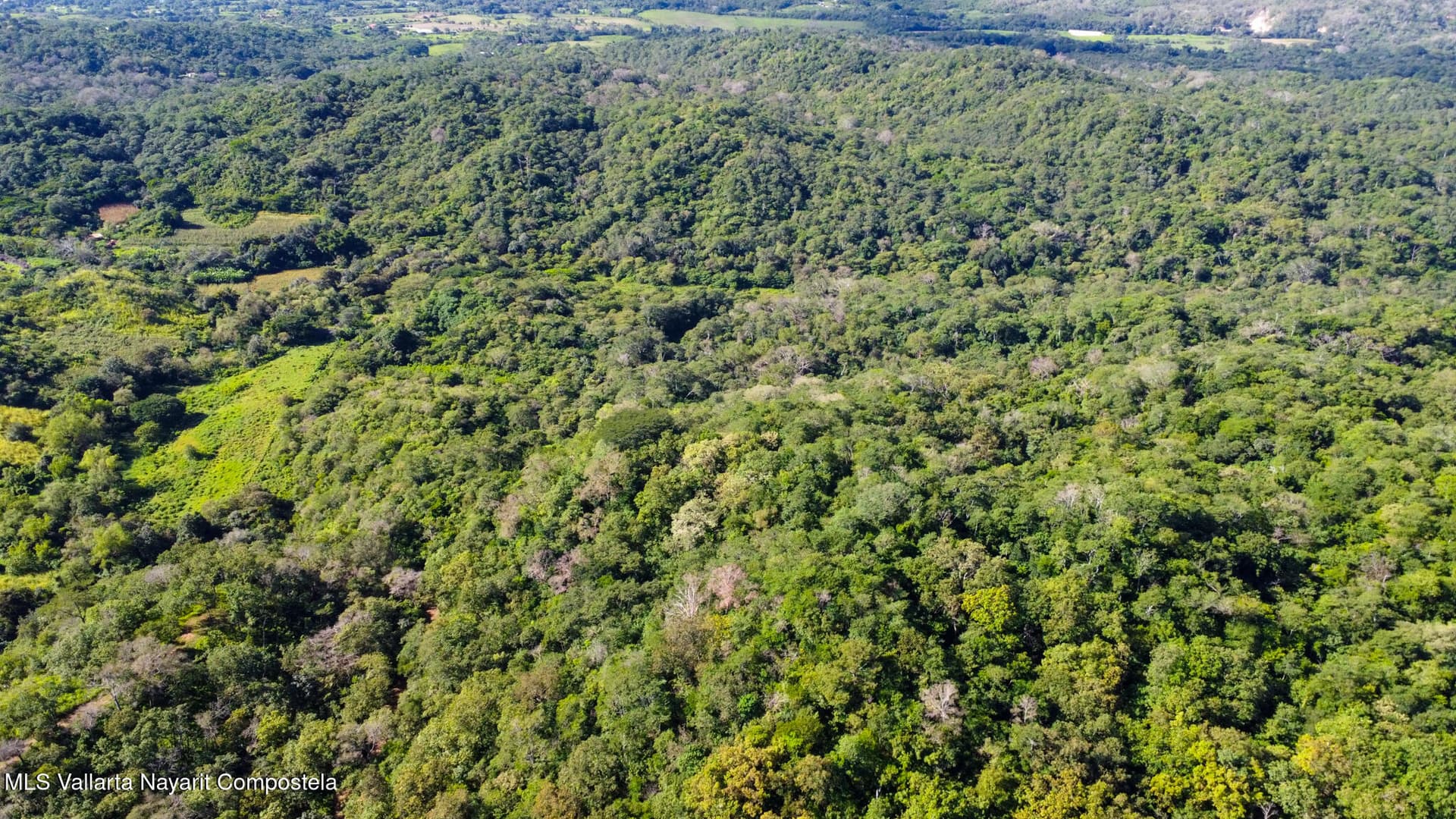 01 Carretera Tuito Vallarta 7