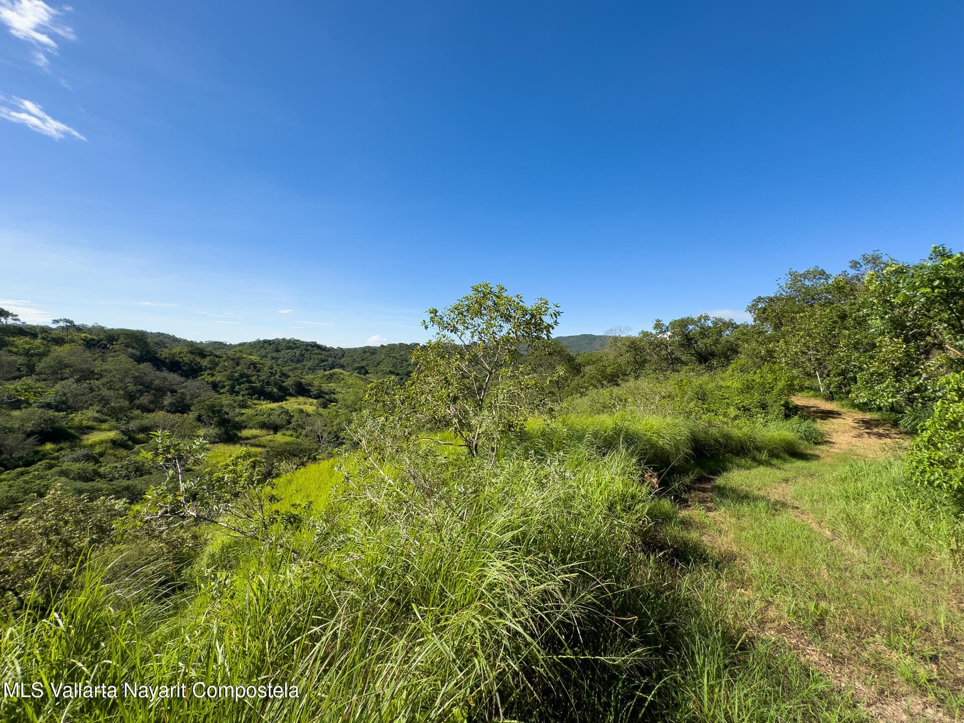01 Carretera Tuito Vallarta 5