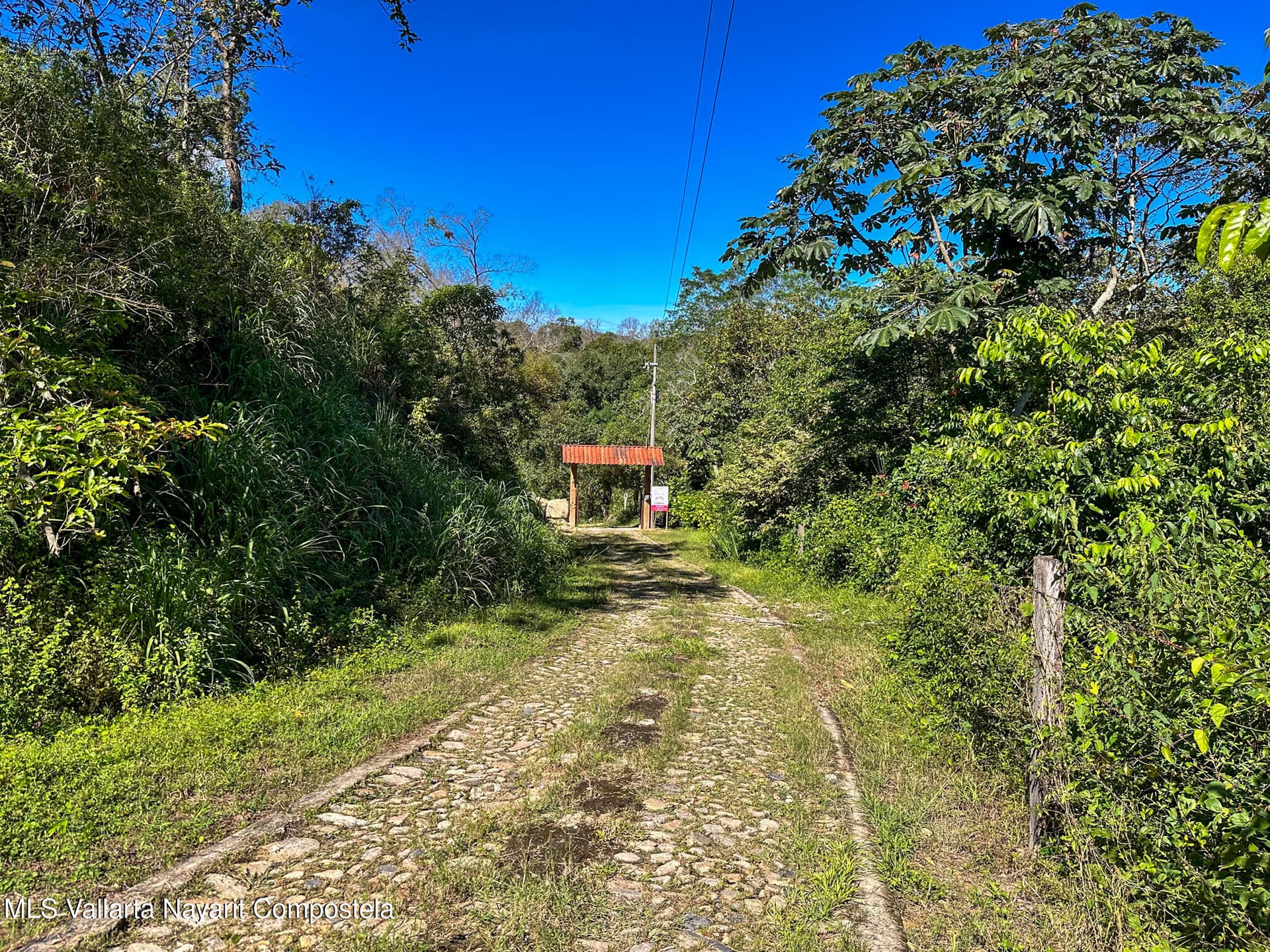 01 Carretera Tuito Vallarta 4