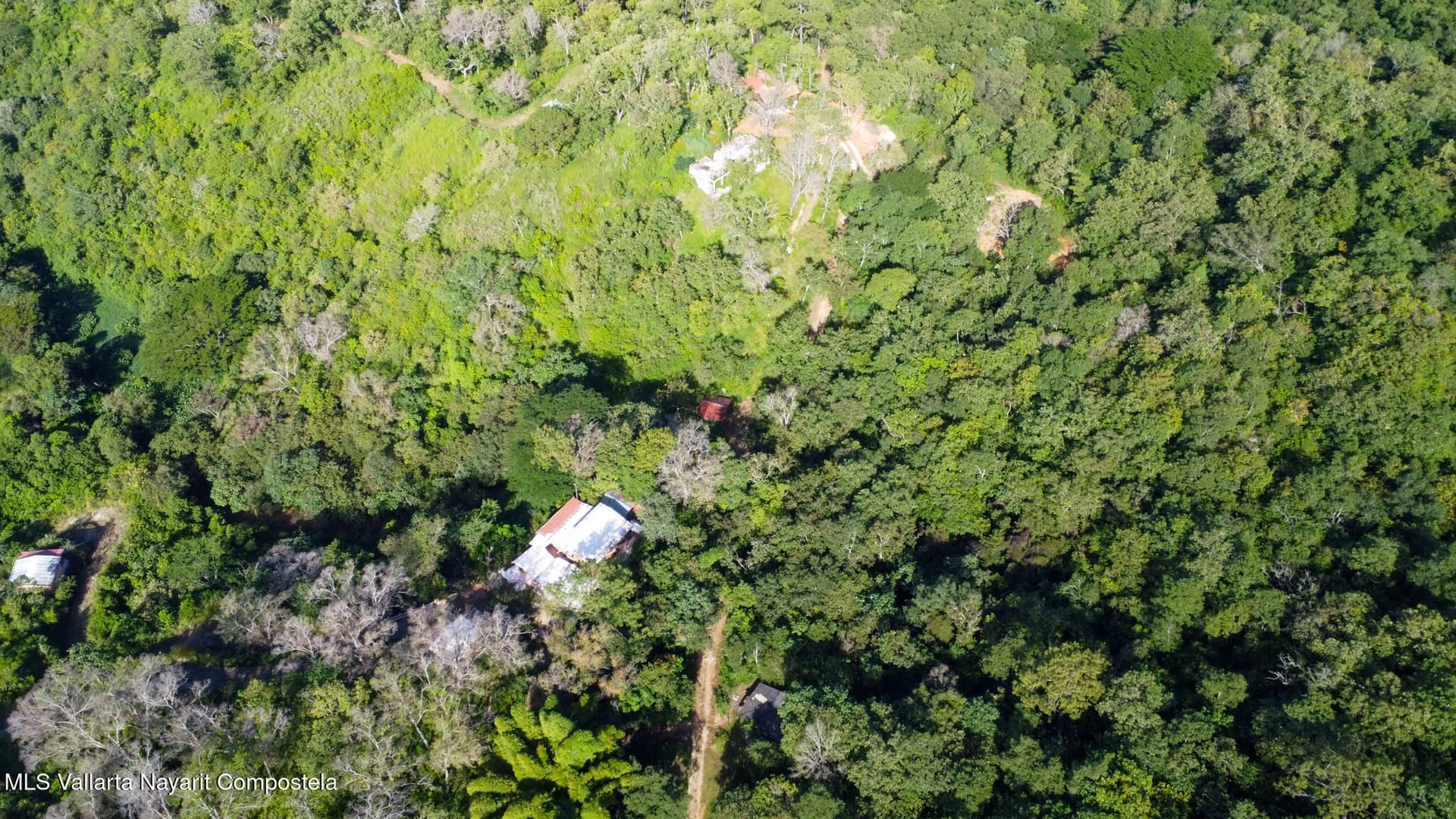 01 Carretera Tuito Vallarta 4