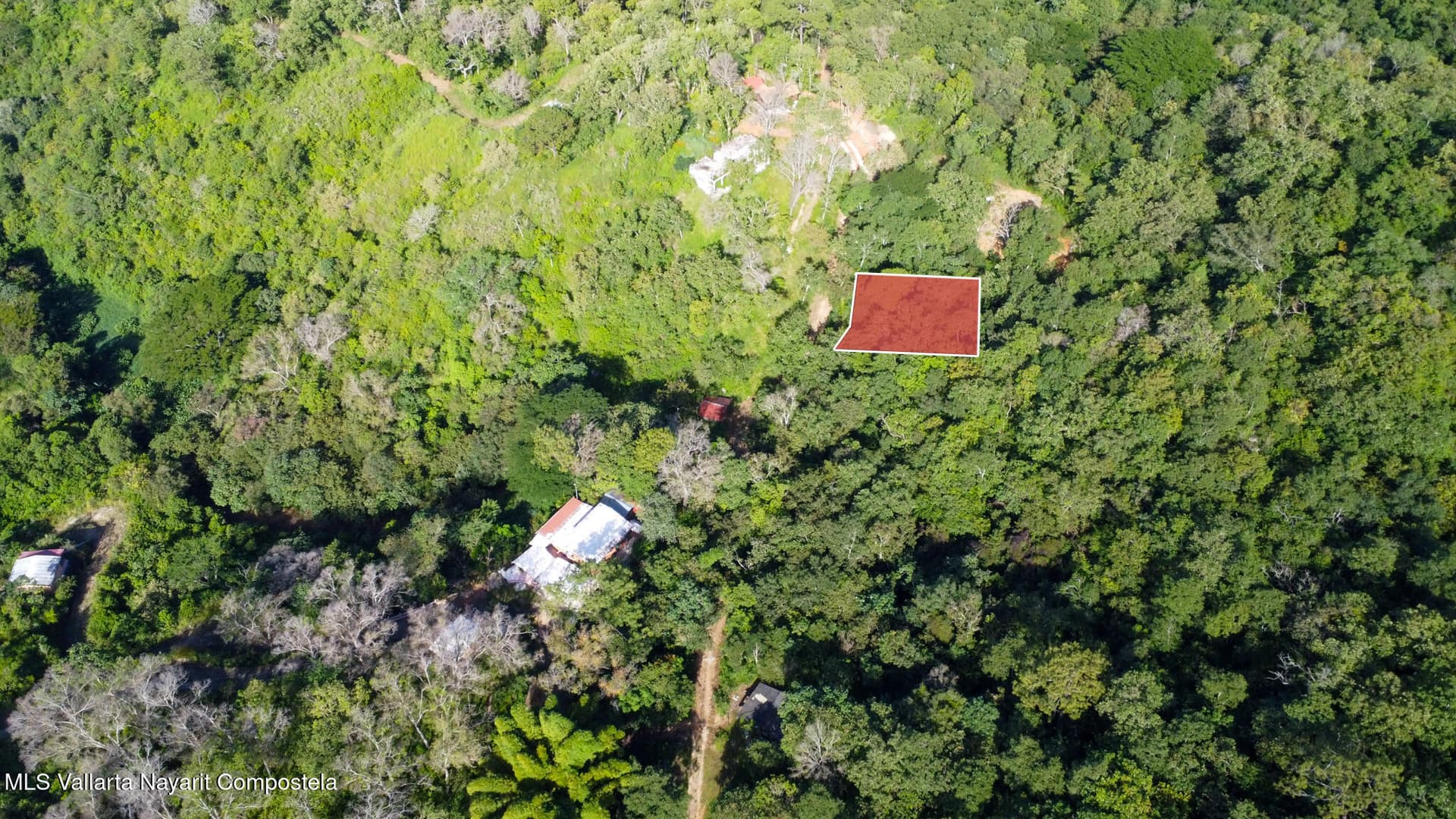 01 Carretera Tuito Vallarta 2