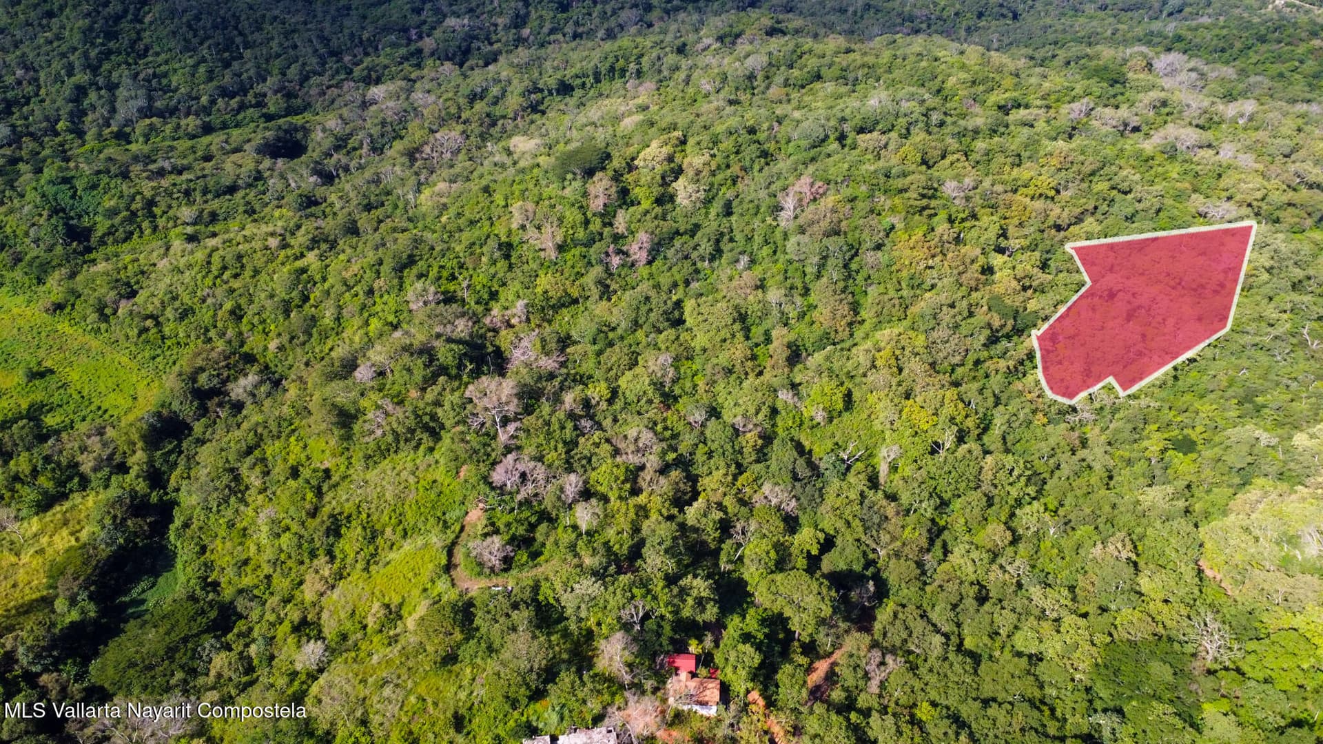 01 Carretera Tuito Vallarta 4