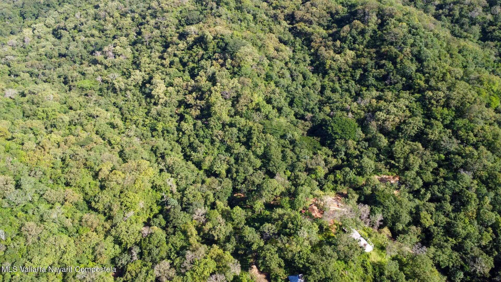 01 Carretera Tuito Vallarta 8