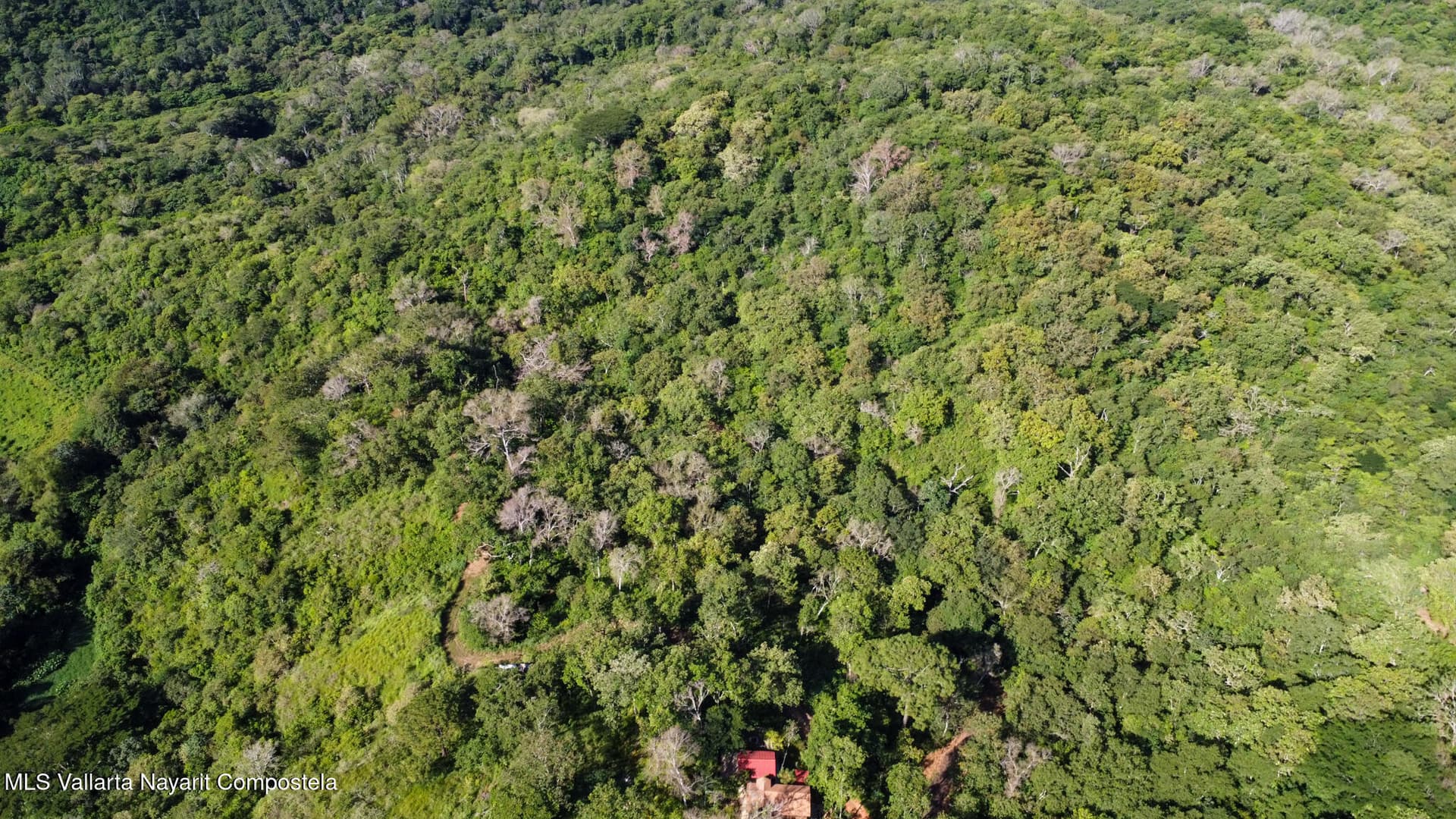 01 Carretera Tuito Vallarta 4