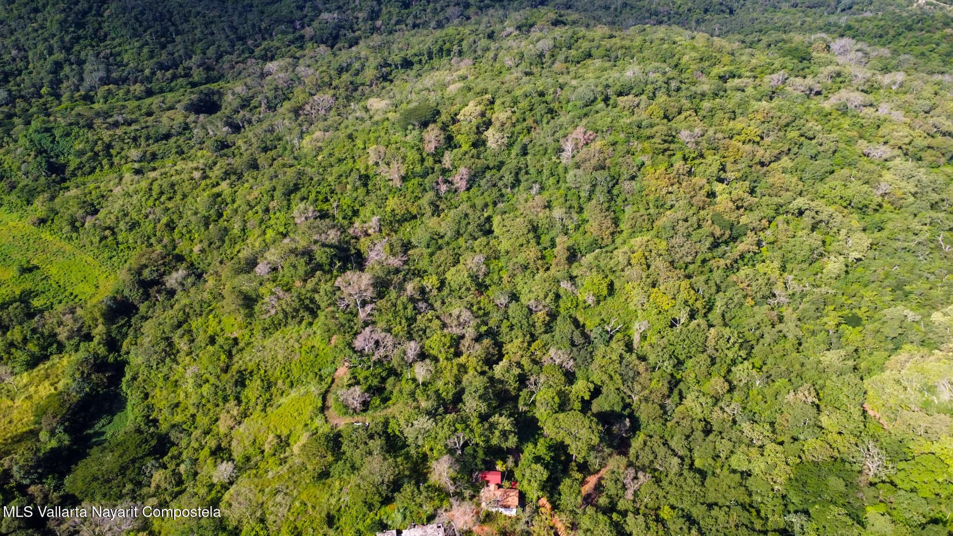 01 Carretera Tuito Vallarta 8