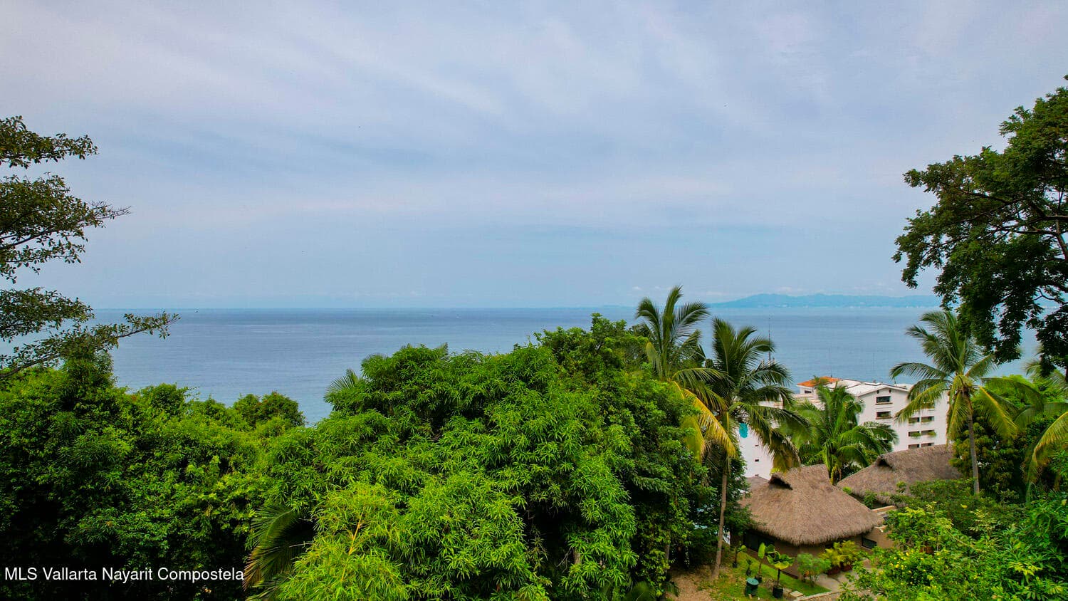 Punta Negra