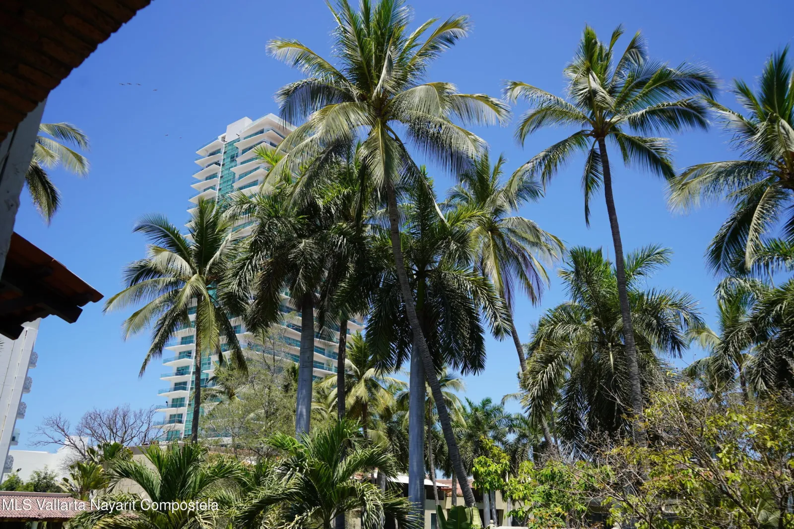 Condo at Krystal Vallarta — photo 21